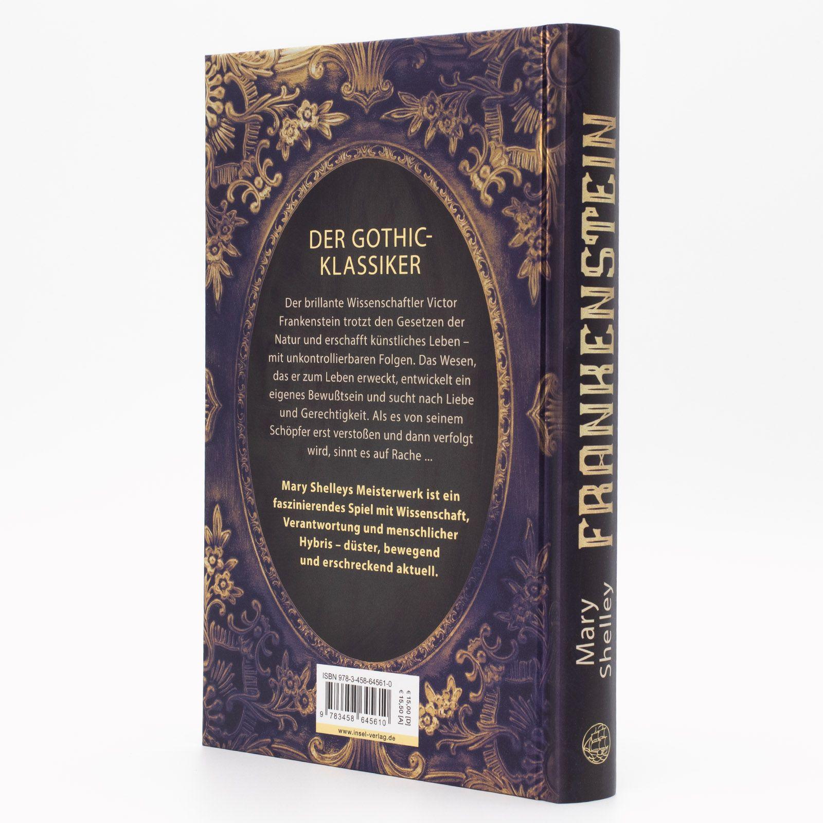 Beispielinhalt (Bild) Frankenstein oder Der moderne Prometheus