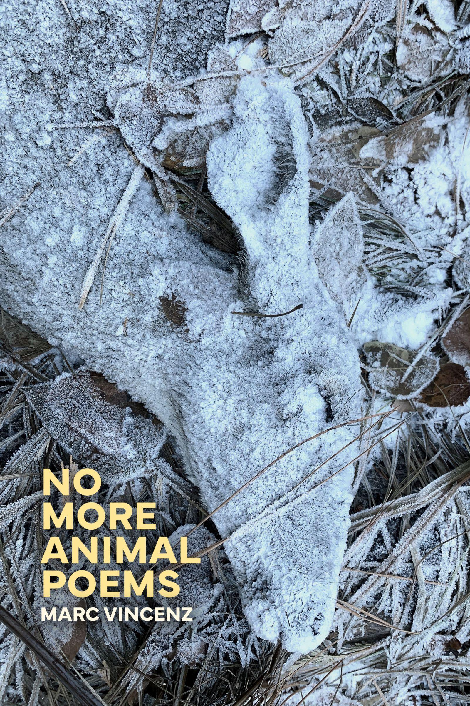 Vorderes Coverbild No More Animal Poems