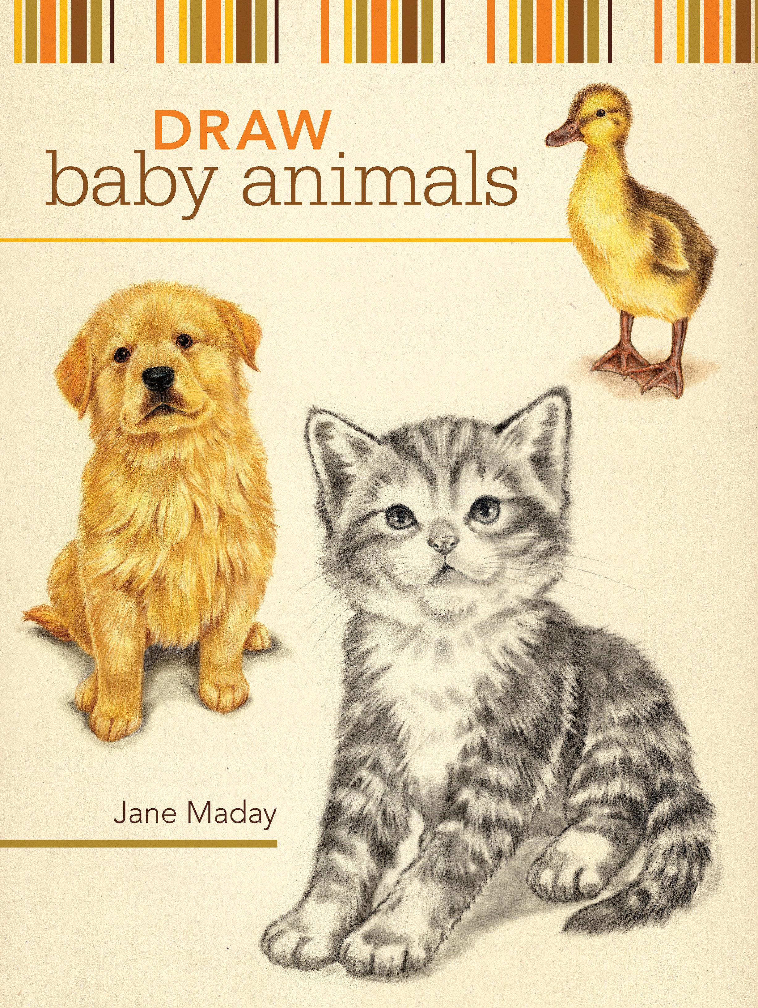 Vorderes Coverbild Draw Baby Animals