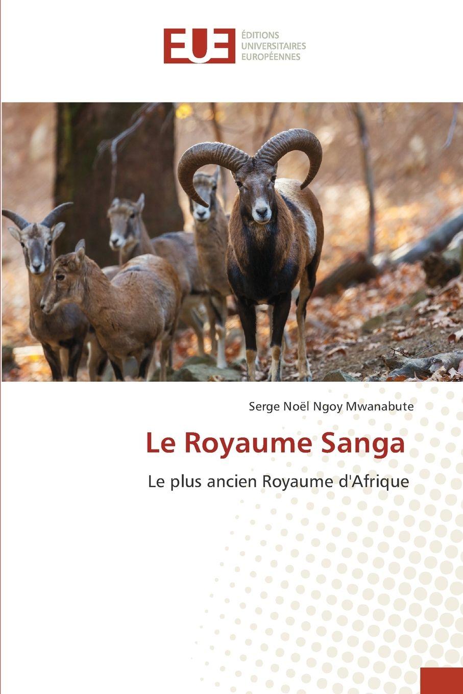 Vorderes Coverbild Le Royaume Sanga