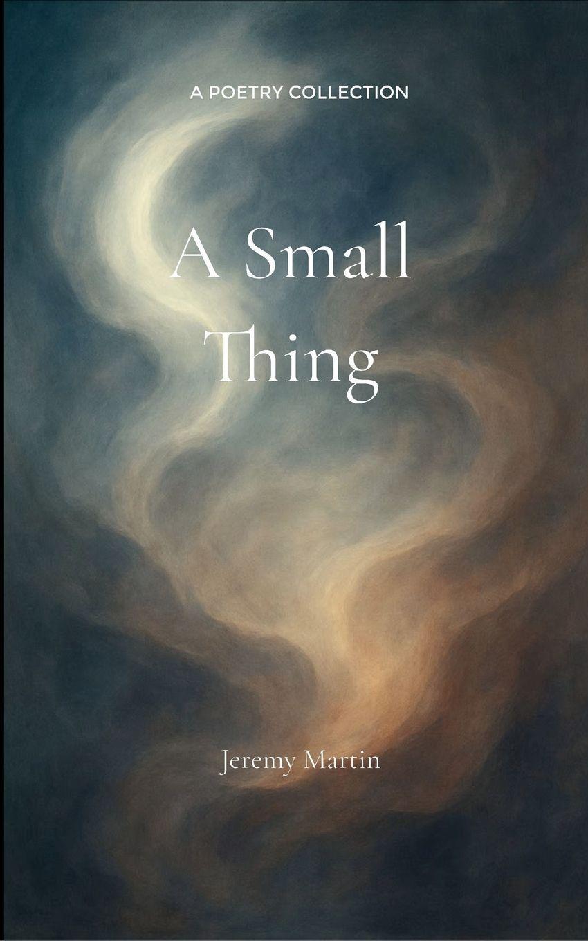 Vorderes Coverbild A Small Thing