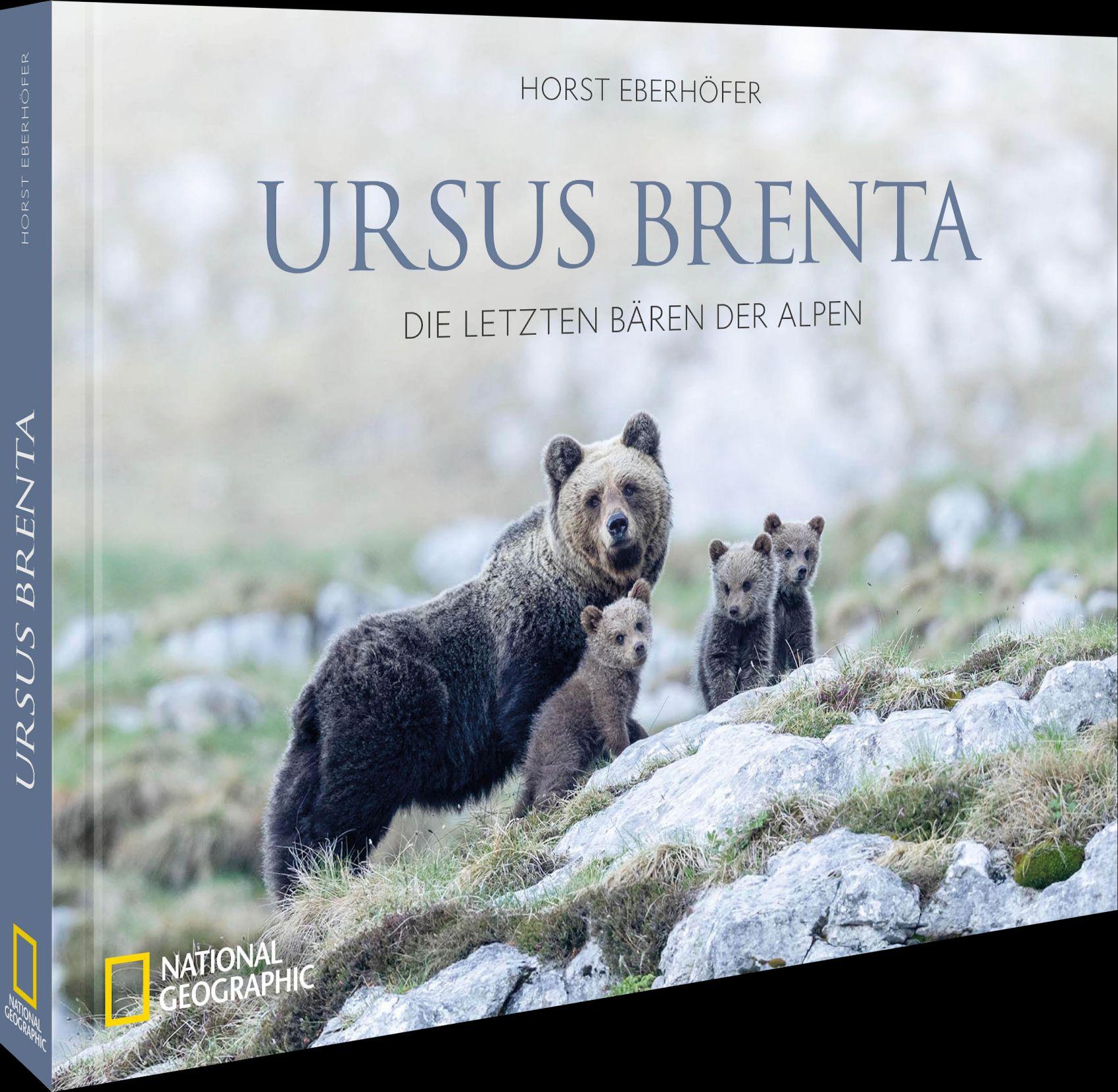 Vorderes Coverbild Ursus Brenta - Die Rückkehr der Bären in die Alpen