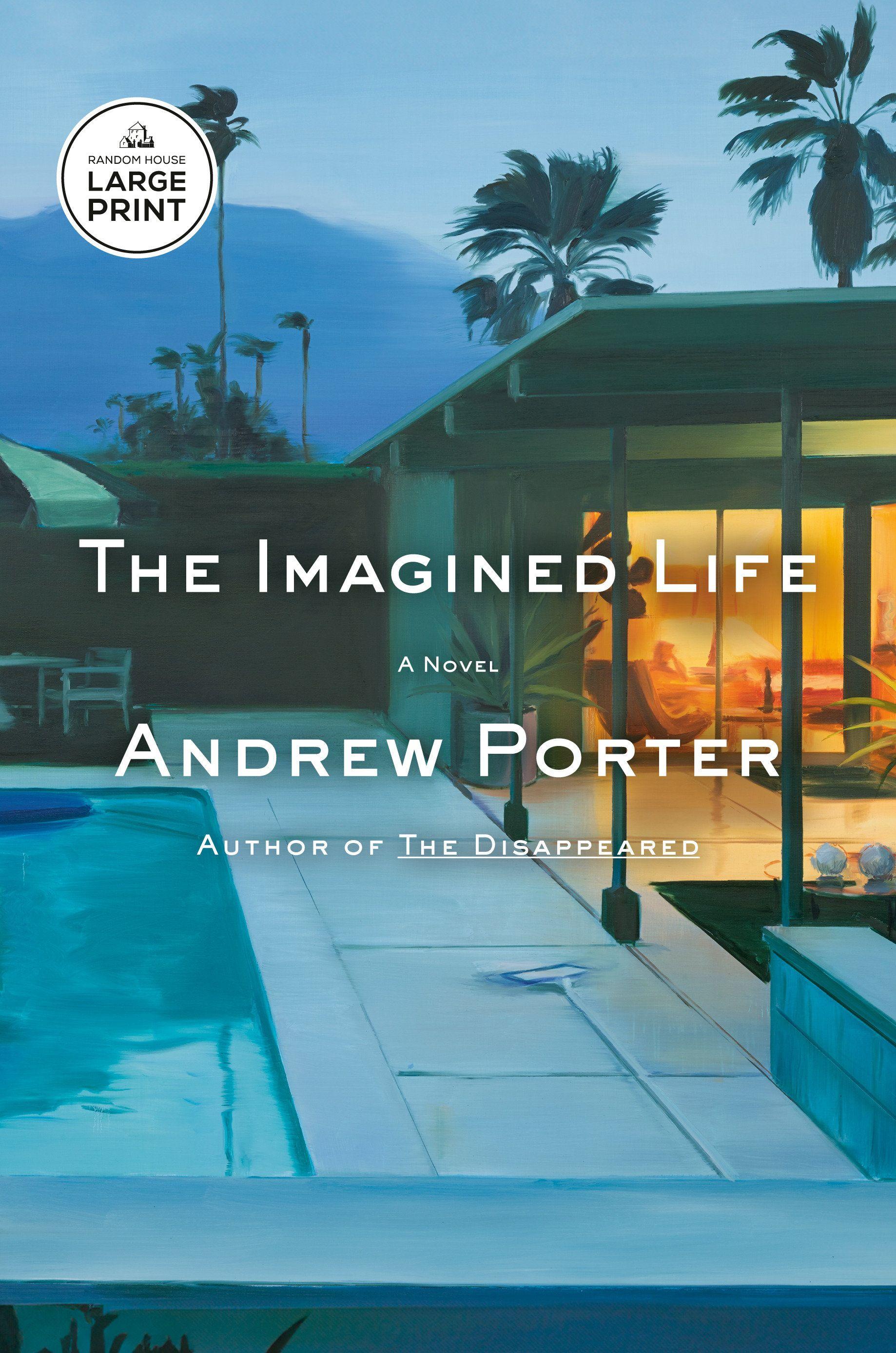 Vorderes Coverbild The Imagined Life