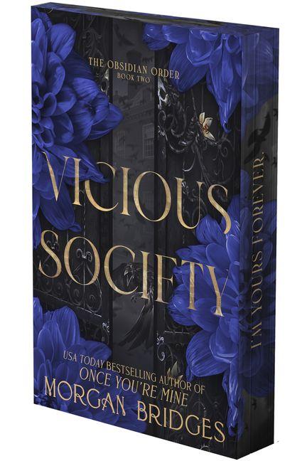 Vorderes Coverbild Vicious Society