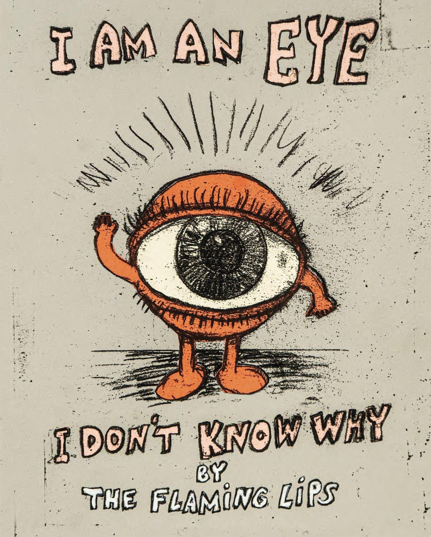 Vorderes Coverbild I Am an Eye I Don't Know Why
