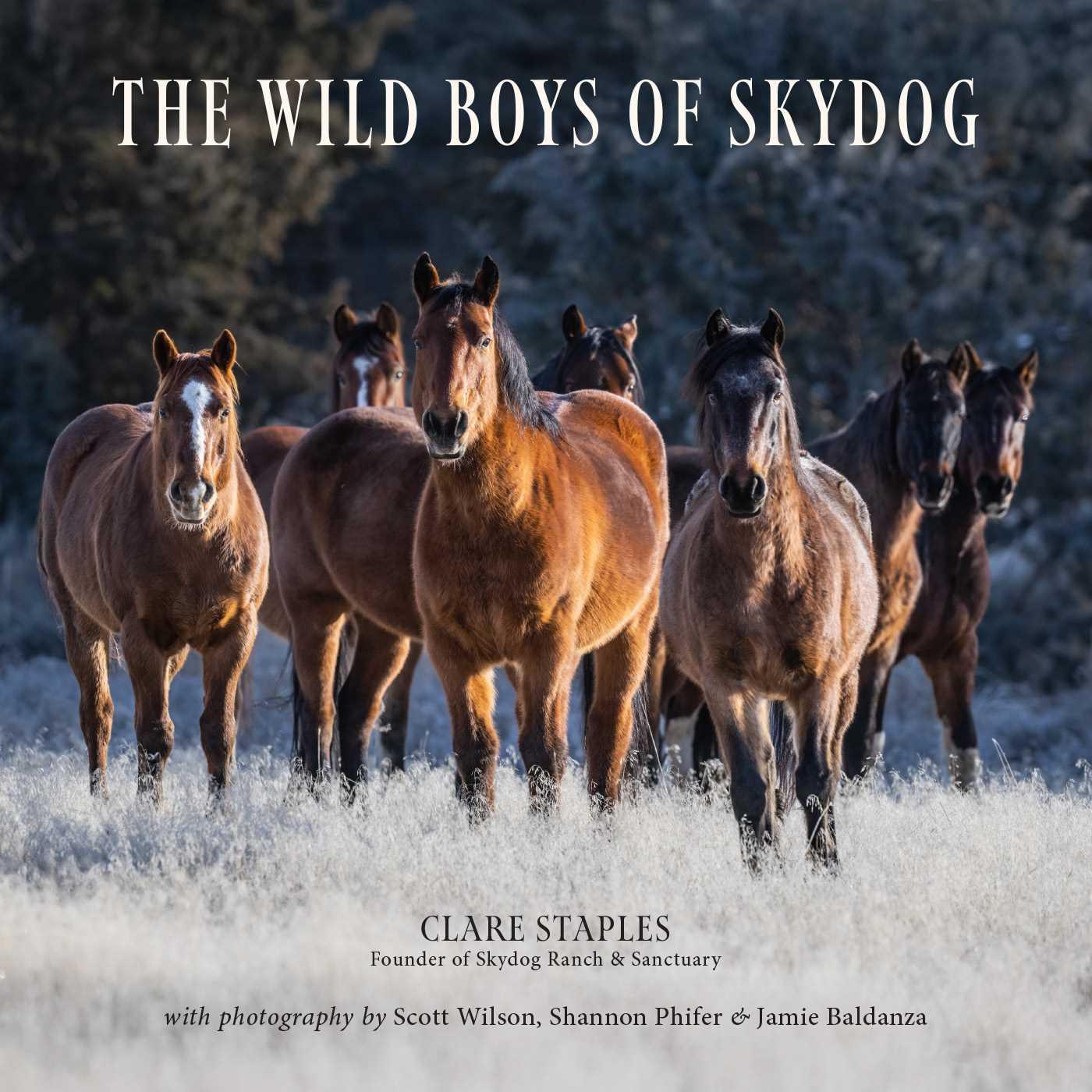 Vorderes Coverbild The Wild Boys of Skydog