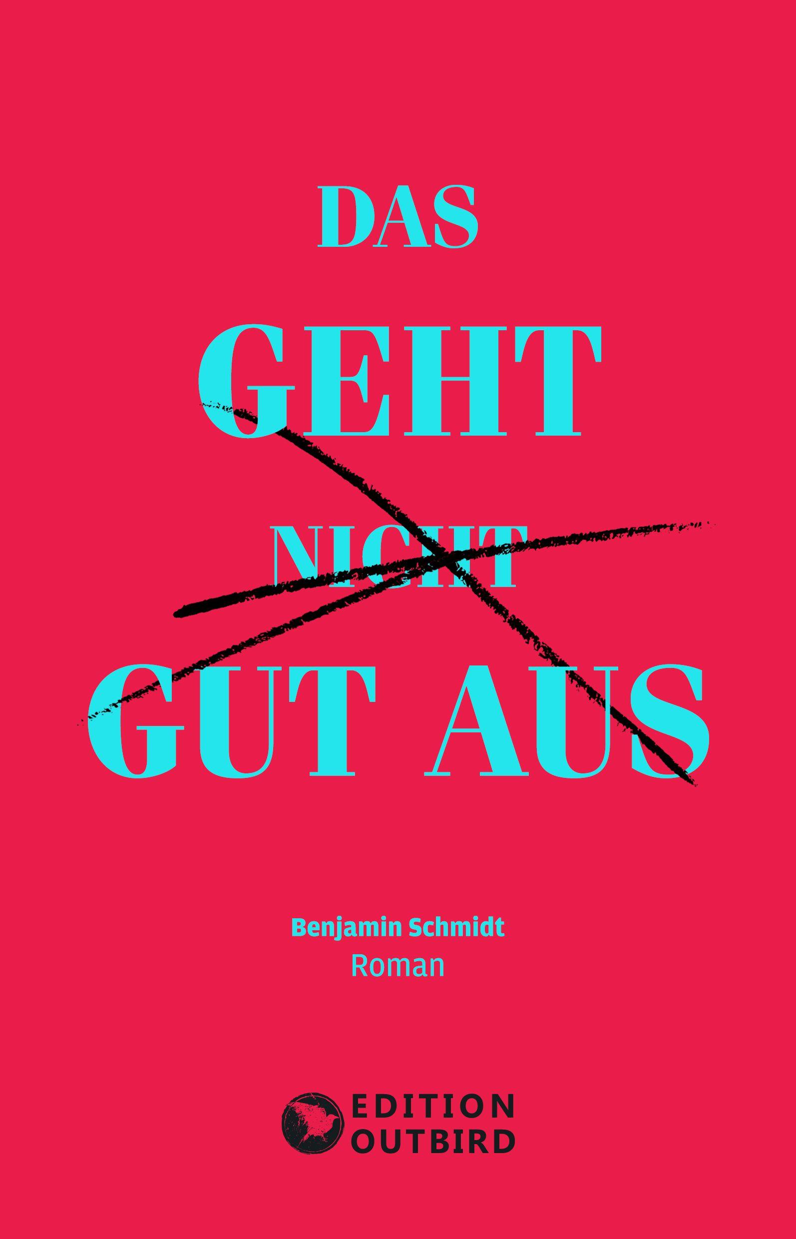 Vorderes Coverbild Das geht nicht gut aus