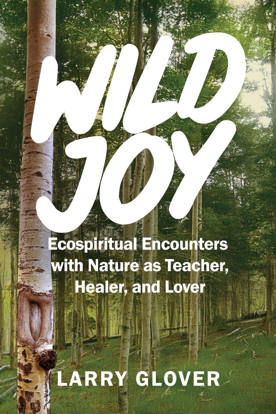 Vorderes Coverbild Wild Joy