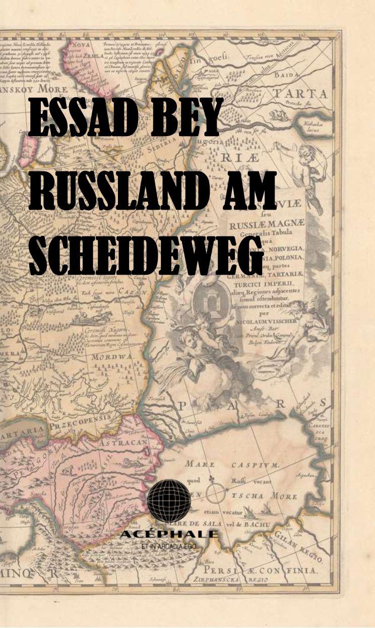Vorderes Coverbild Russland am Scheideweg