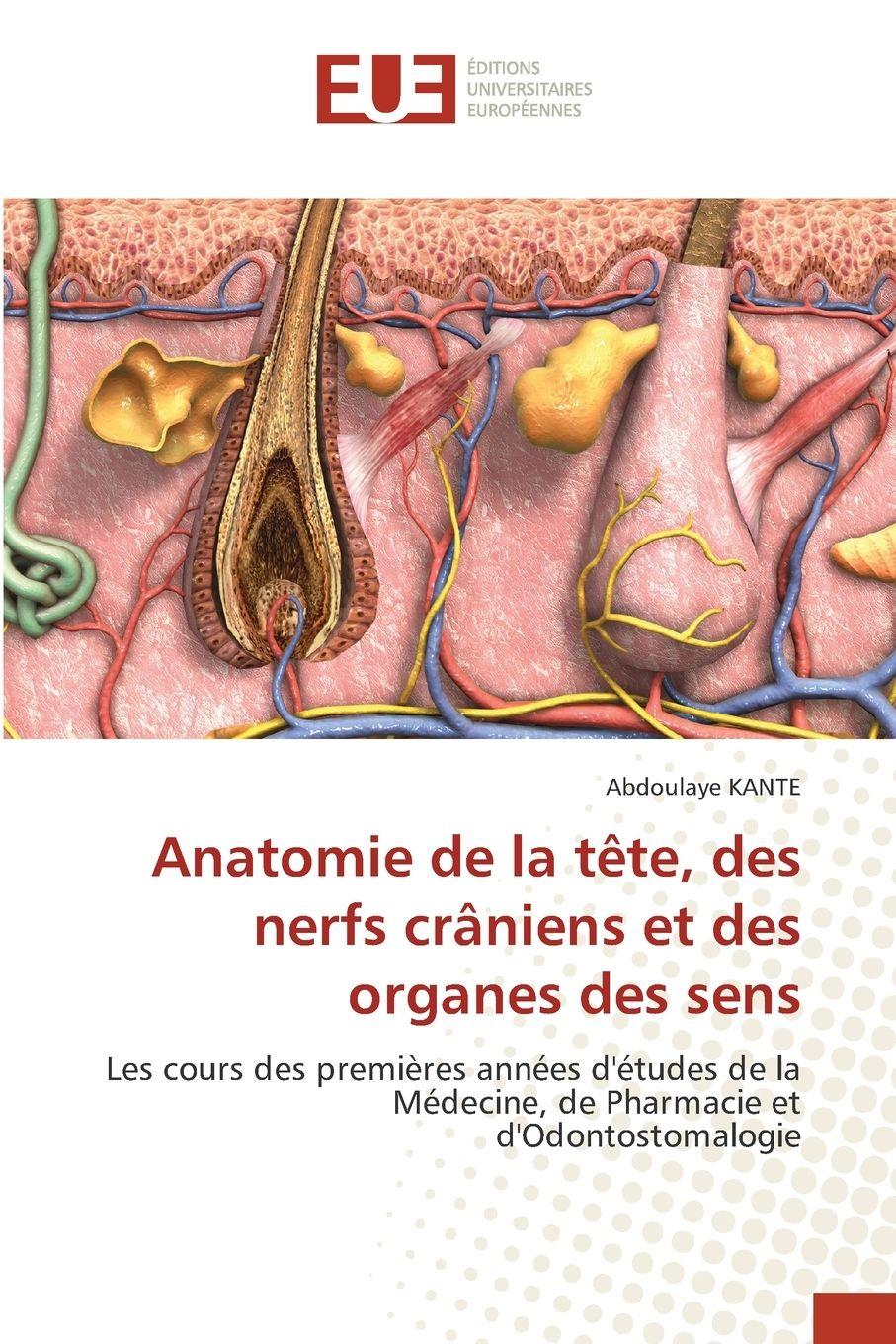 Vorderes Coverbild Anatomie de la tête, des nerfs crâniens et des organes des sens