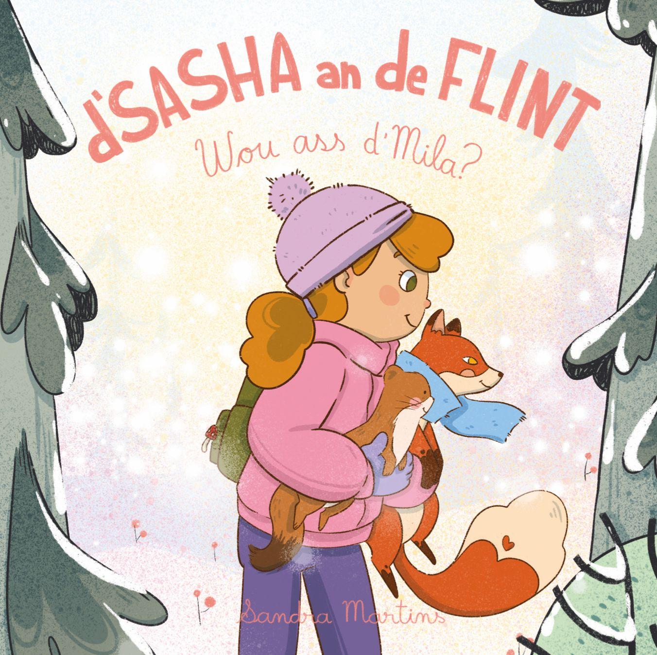 Vorderes Coverbild D' Sasha an de Flint