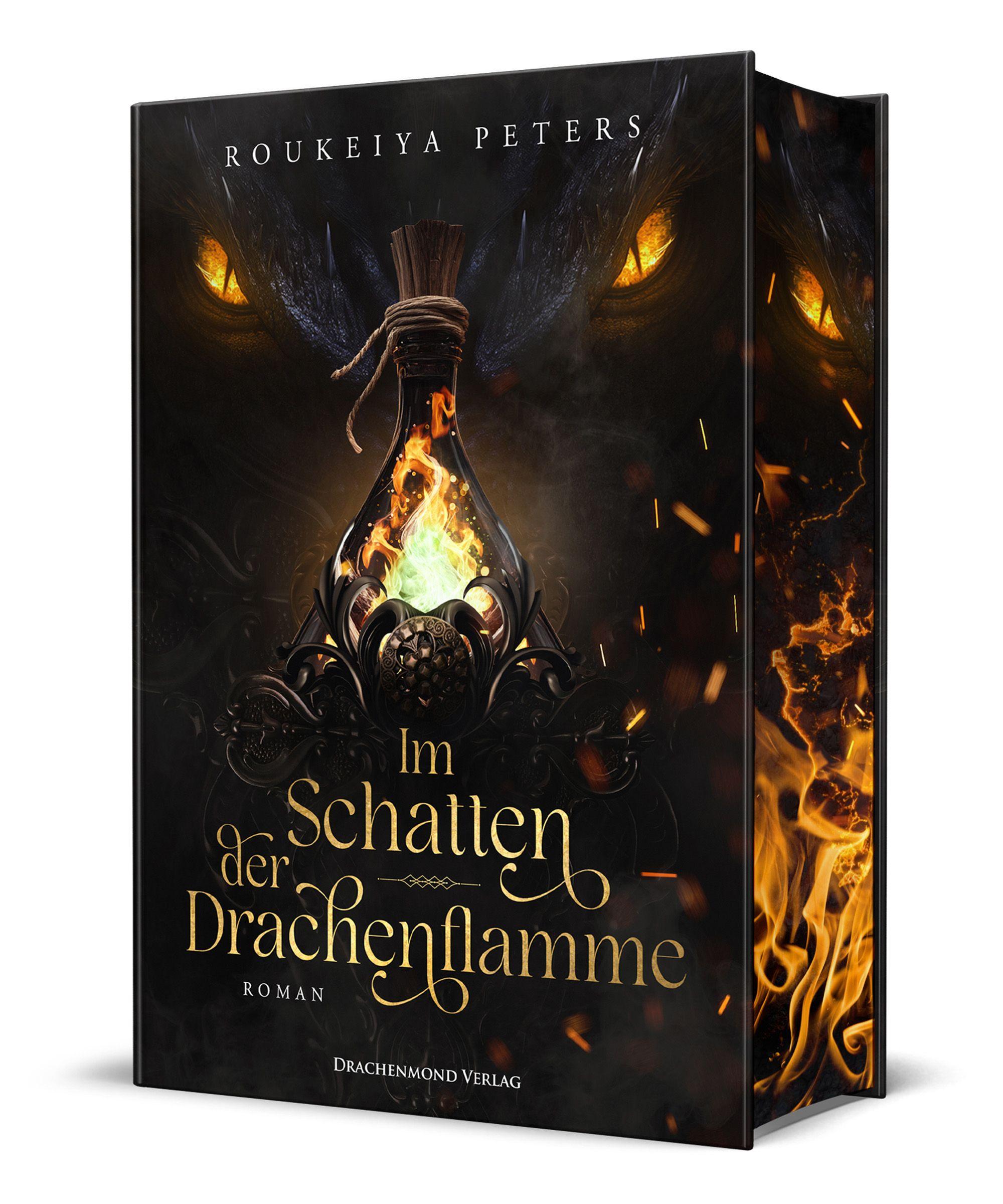Vorderes Coverbild Im Schatten der Drachenflamme