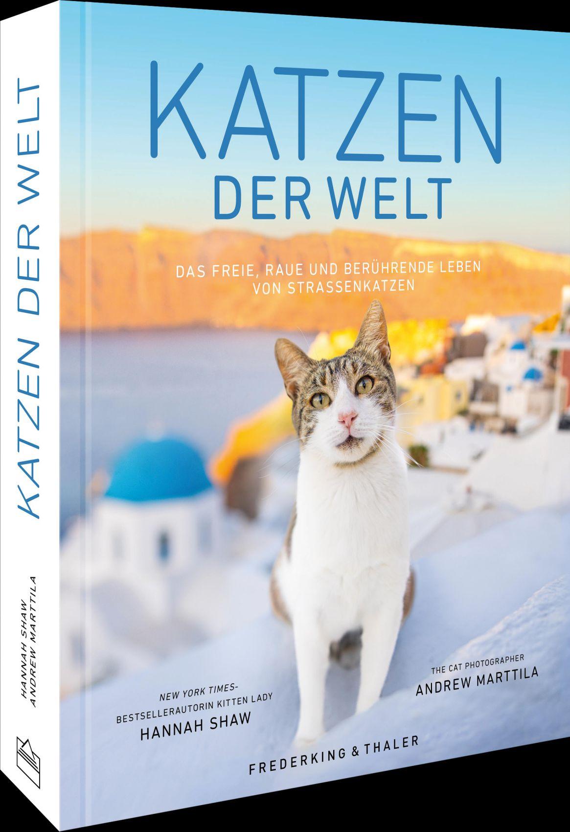 Vorderes Coverbild Katzen der Welt