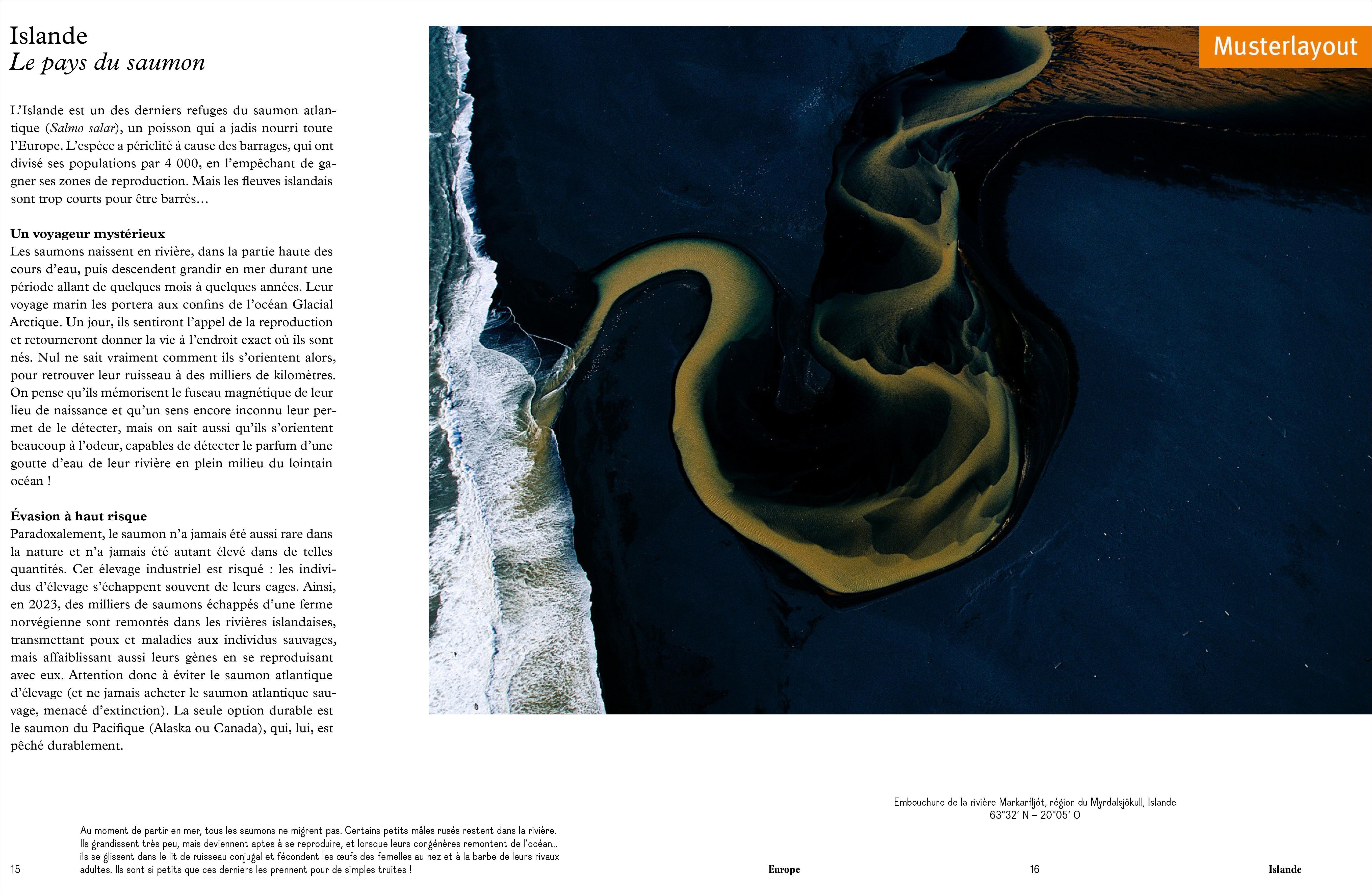 Beispielinhalt (Bild) Das Wasser der Erde