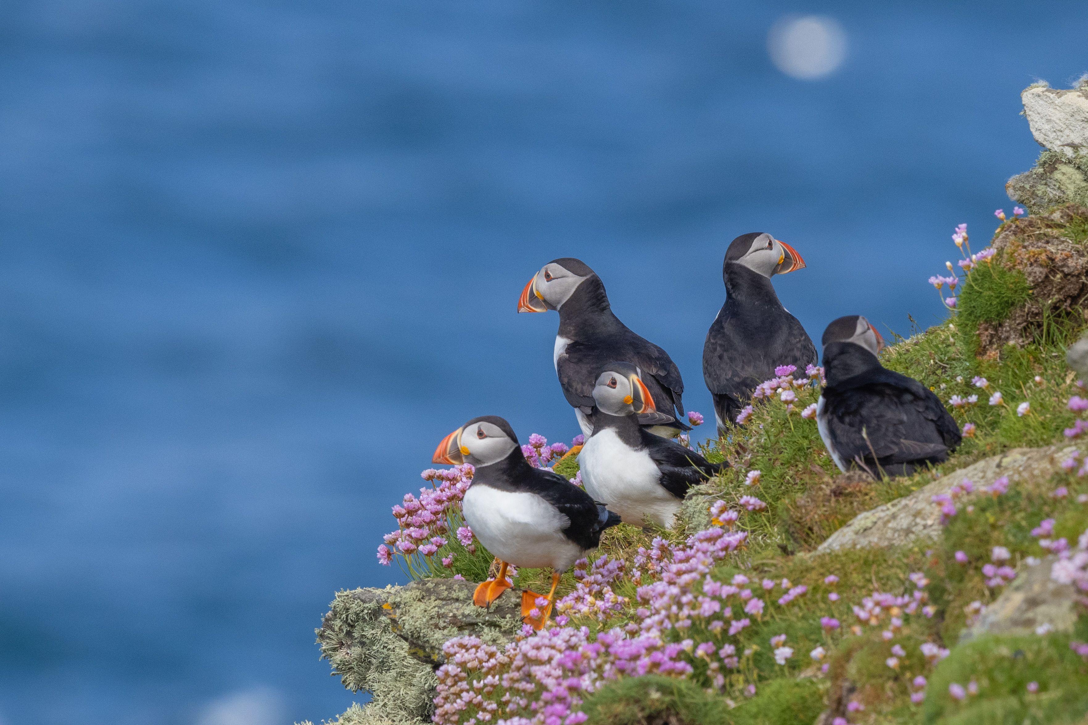 Beispielinhalt (Bild) Secret Places Schottland mit dem Wohnmobil
