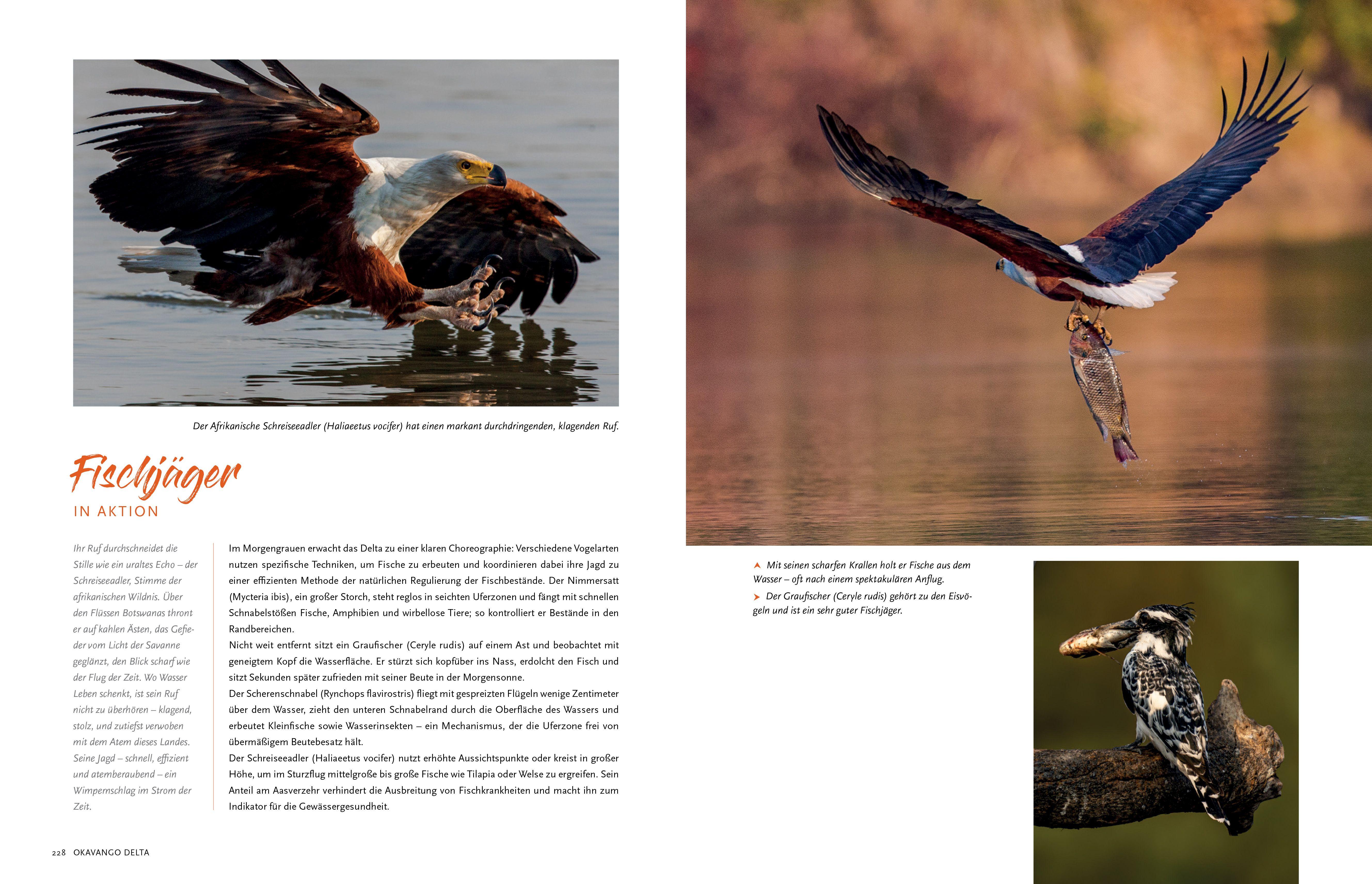 Beispielinhalt (Bild) Namibia und Botswana