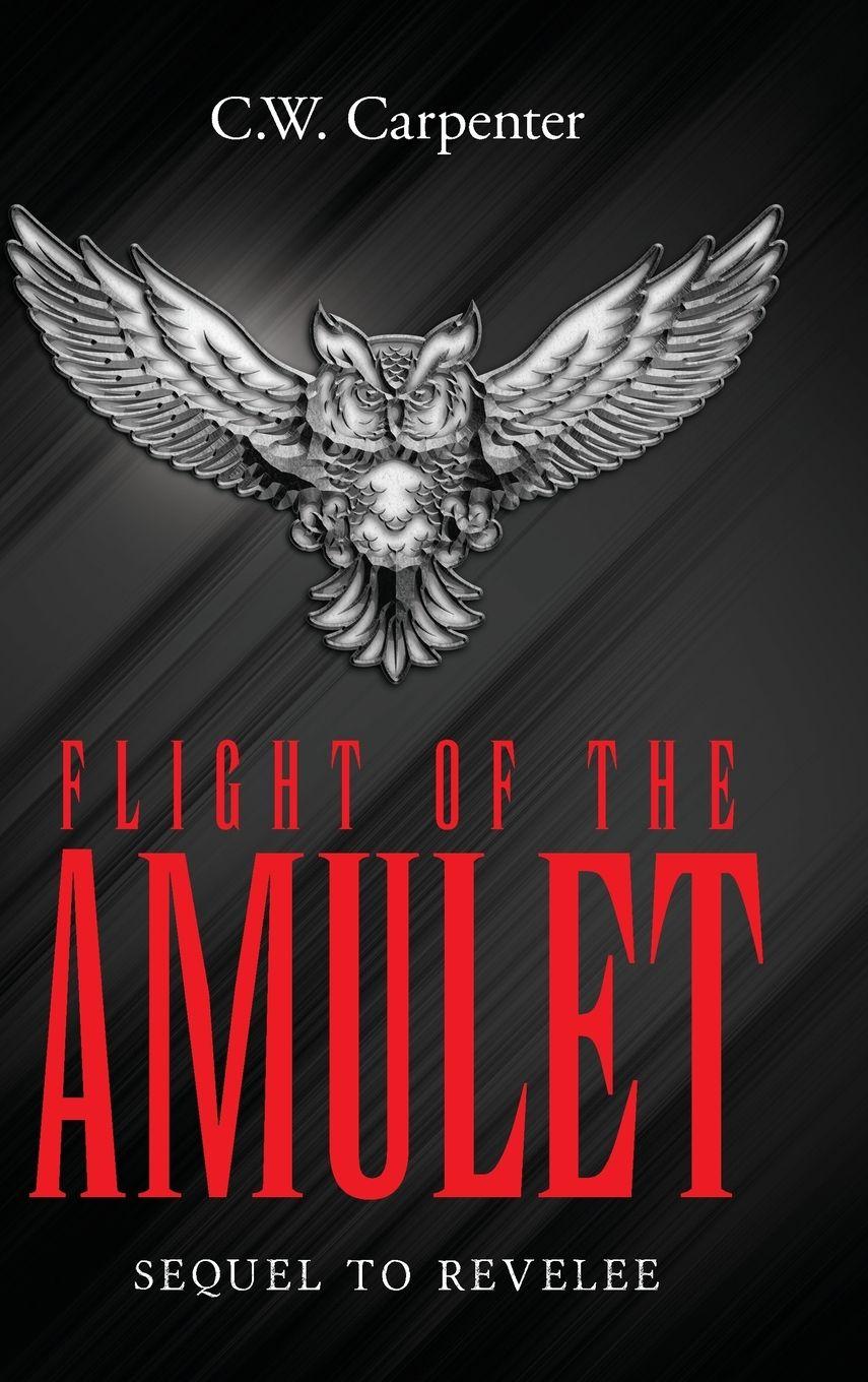 Vorderes Coverbild Flight Of The Amulet