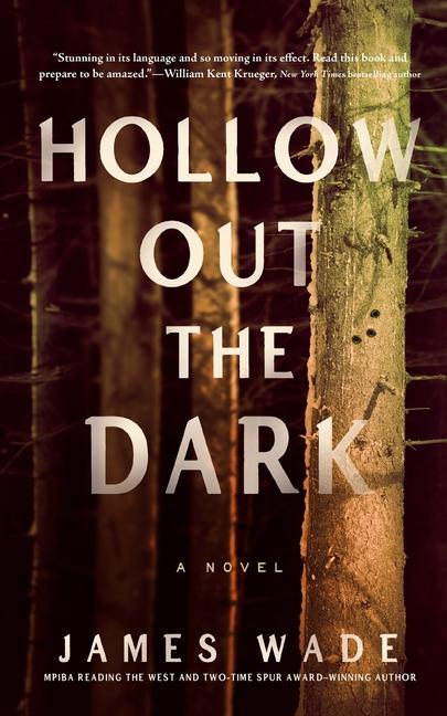 Vorderes Coverbild Hollow Out the Dark