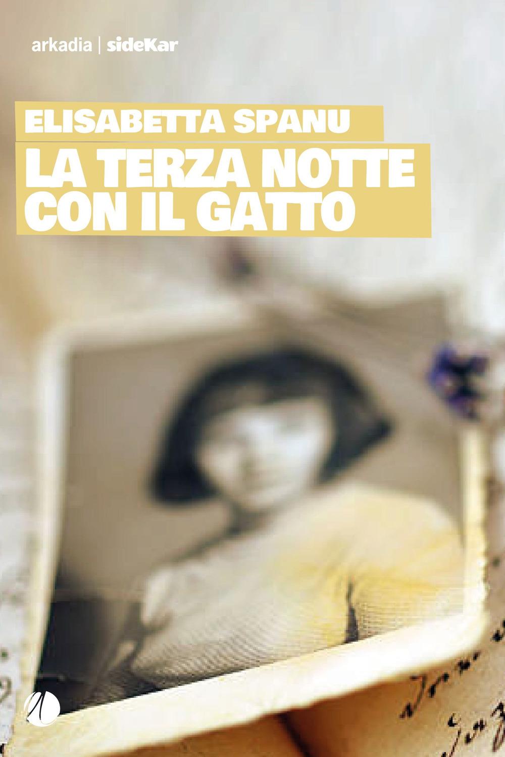 Vorderes Coverbild La terza notte con il gatto