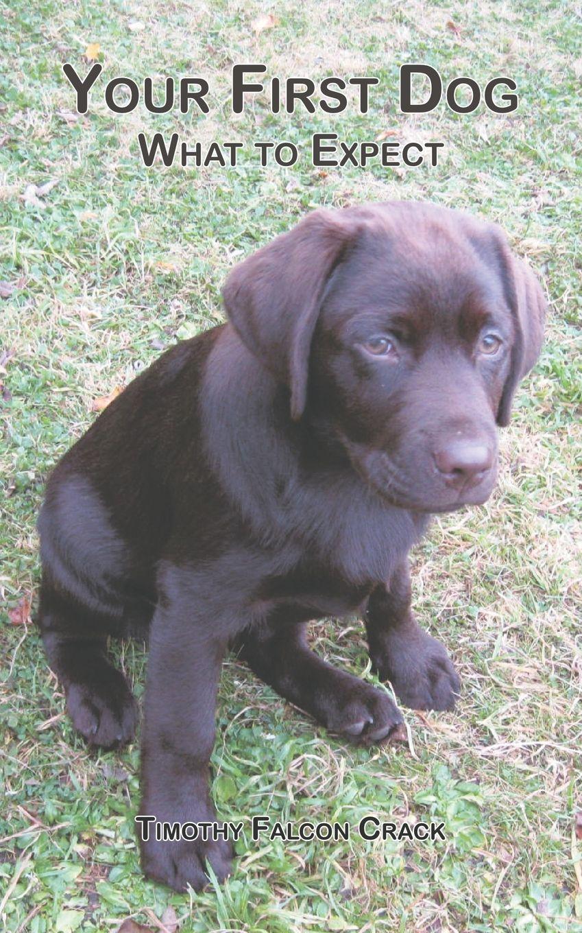 Vorderes Coverbild Your First Dog