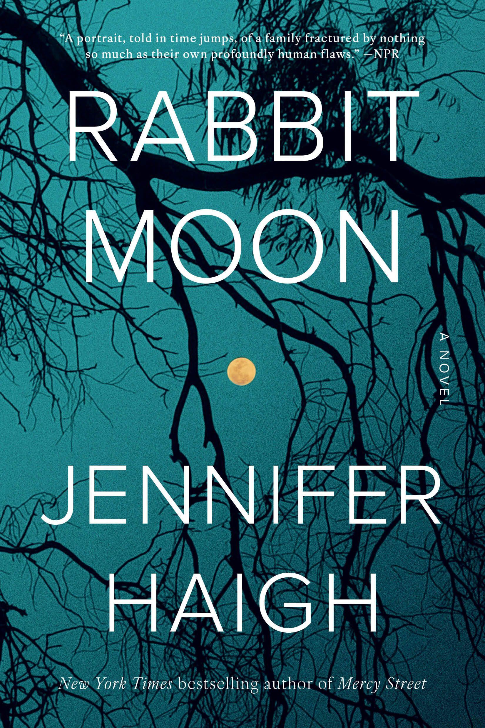 Vorderes Coverbild Rabbit Moon