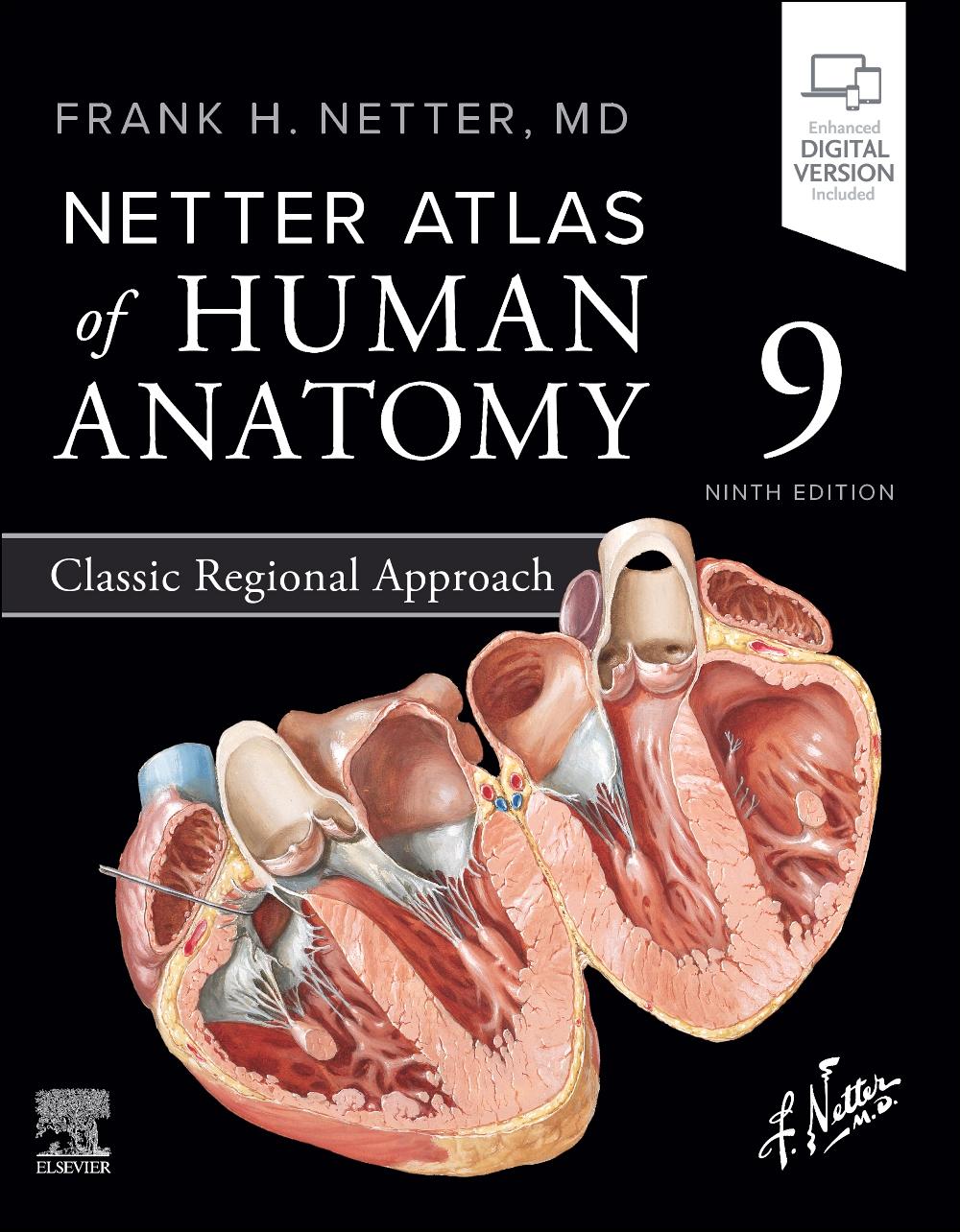 Vorderes Coverbild Netter Atlas of Human Anatomy: Classic Regional Approach