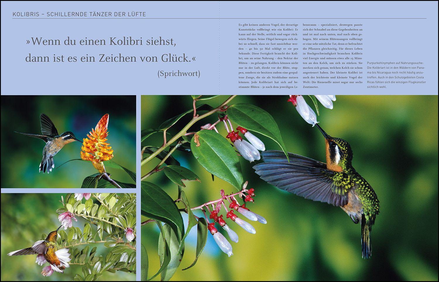 Beispielinhalt (Bild) KUNTH Costa Rica. Das Buch
