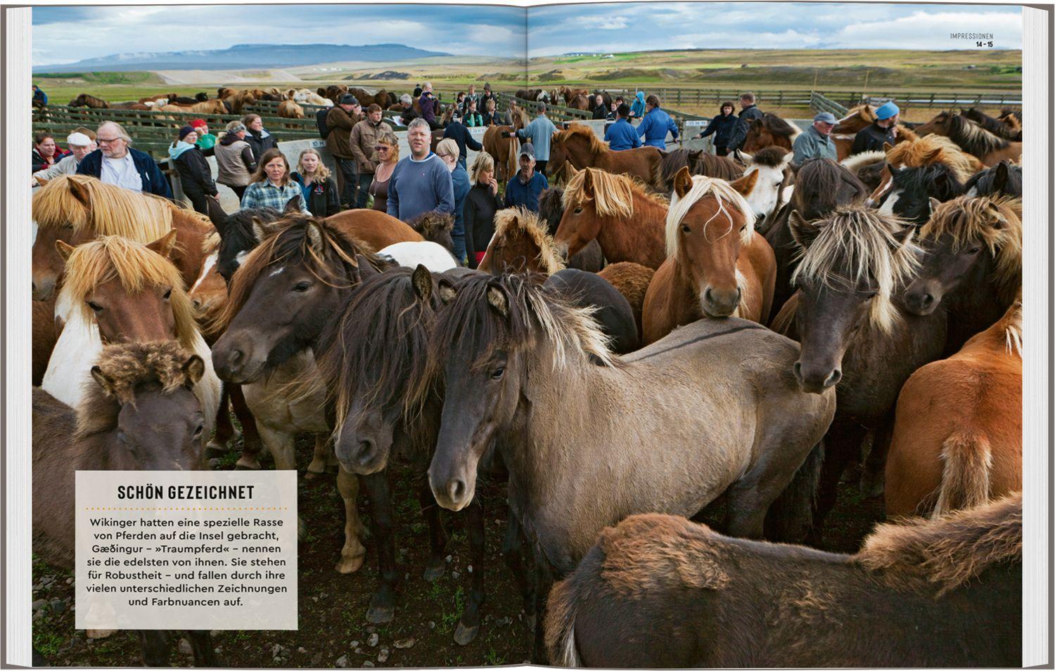 Beispielinhalt (Bild) DUMONT Bildatlas Island