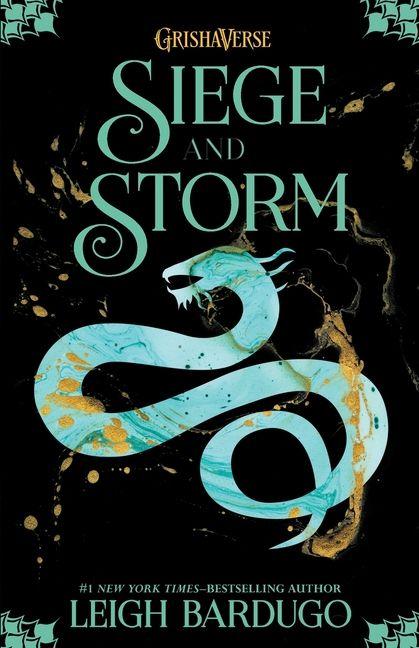 Vorderes Coverbild Siege and Storm