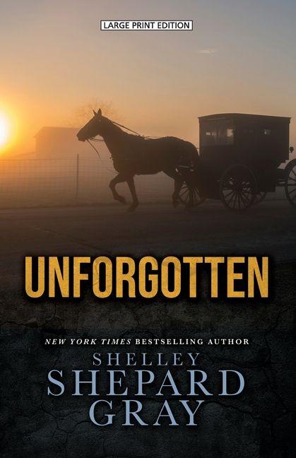 Vorderes Coverbild Unforgotten