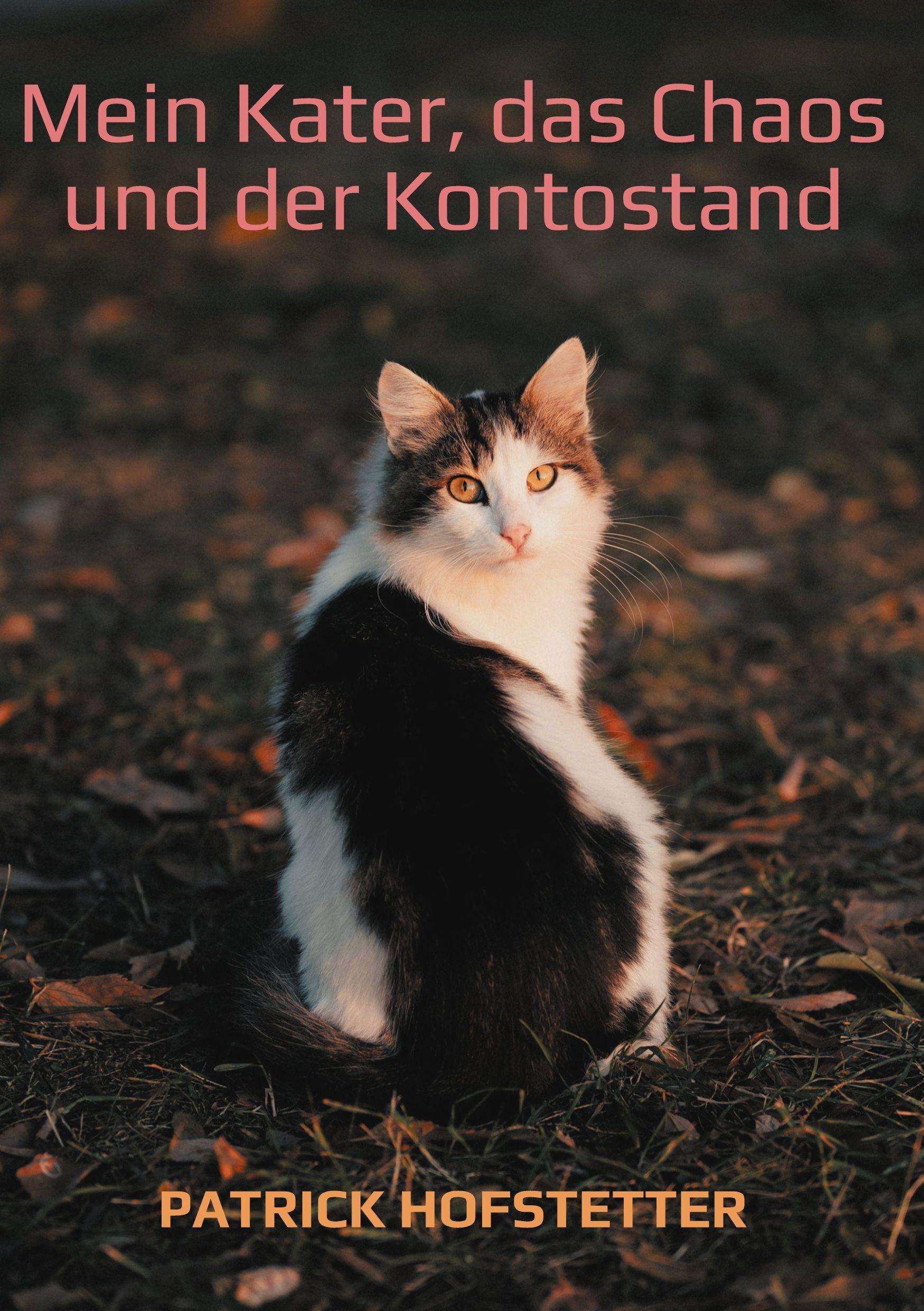 Vorderes Coverbild Mein Kater, das Chaos und der Kontostand