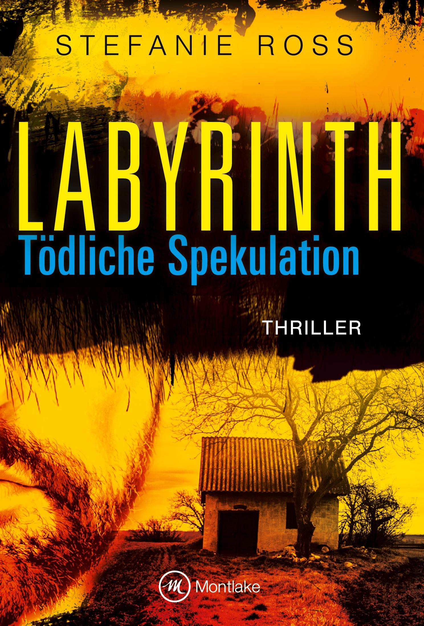 Vorderes Coverbild Labyrinth