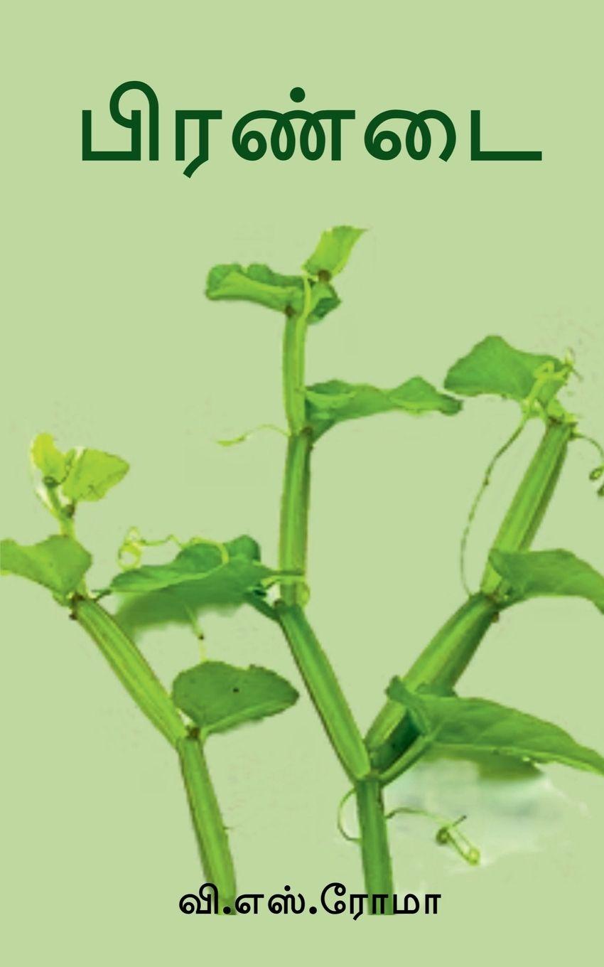 Vorderes Coverbild Pirandai