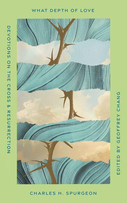 Vorderes Coverbild What Depth of Love