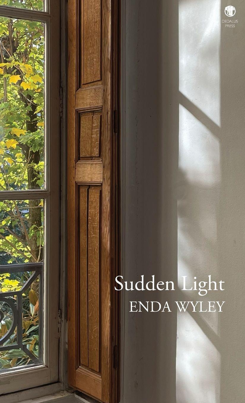 Vorderes Coverbild Sudden Light