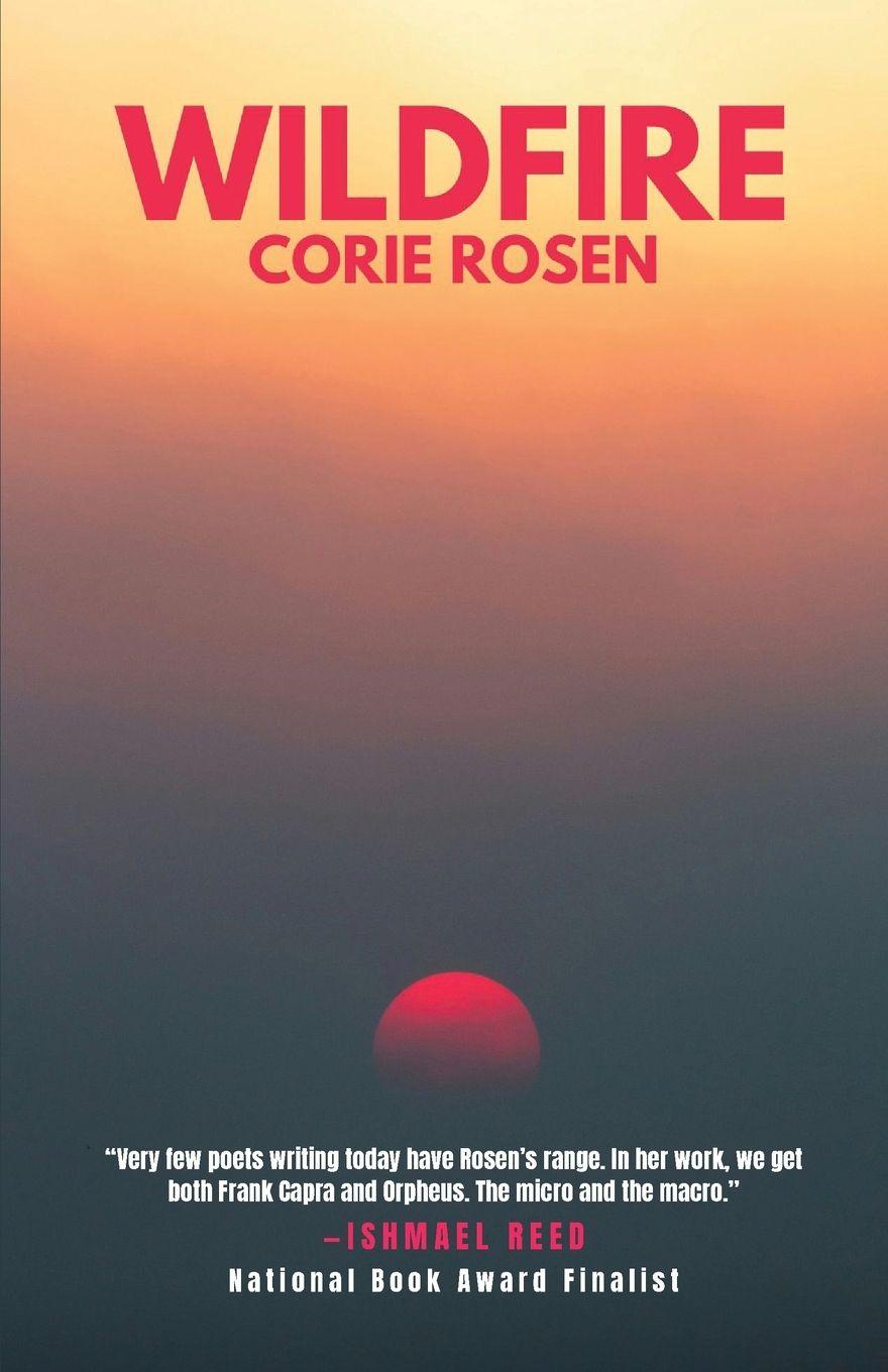 Vorderes Coverbild Wildfire