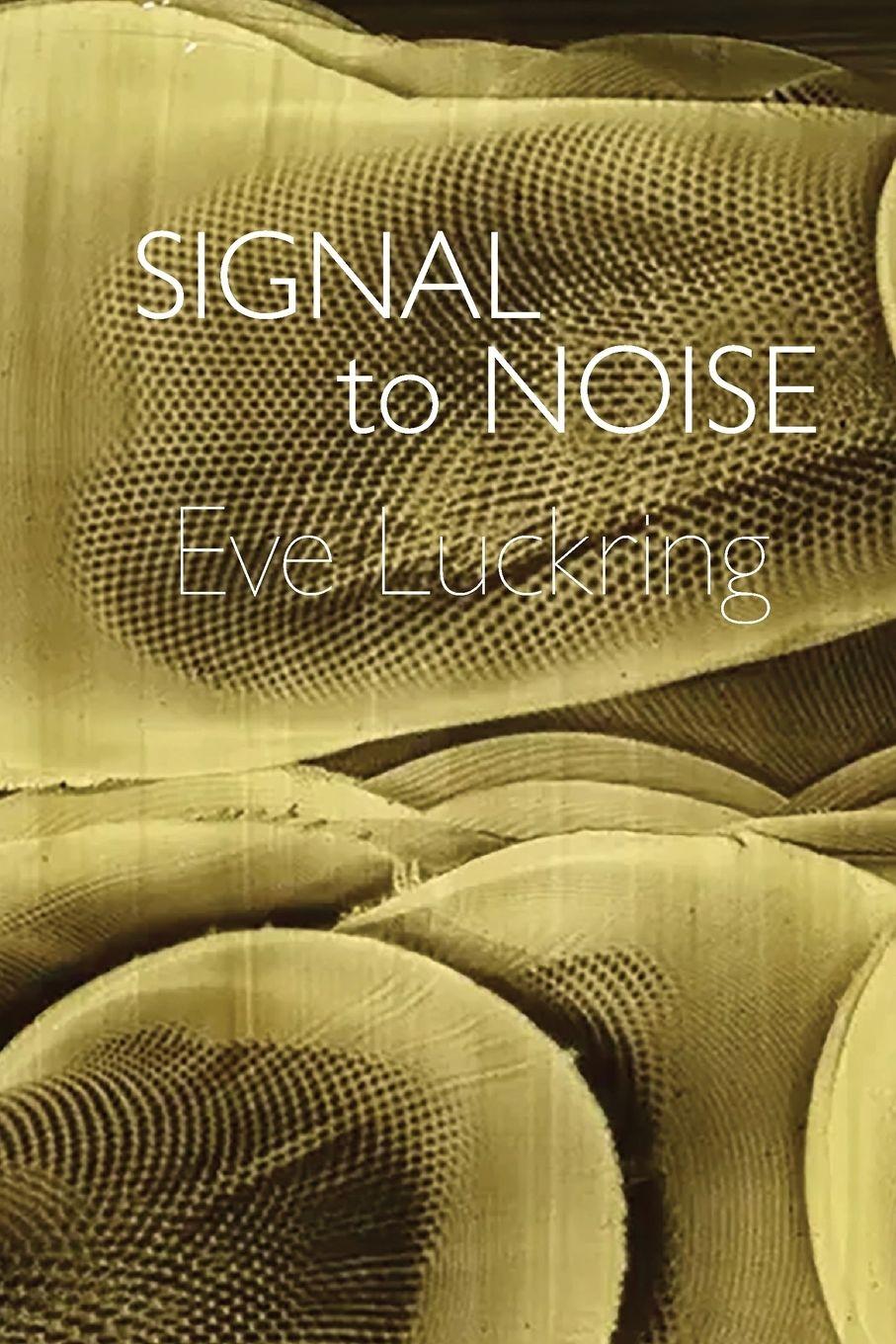 Vorderes Coverbild Signal to Noise