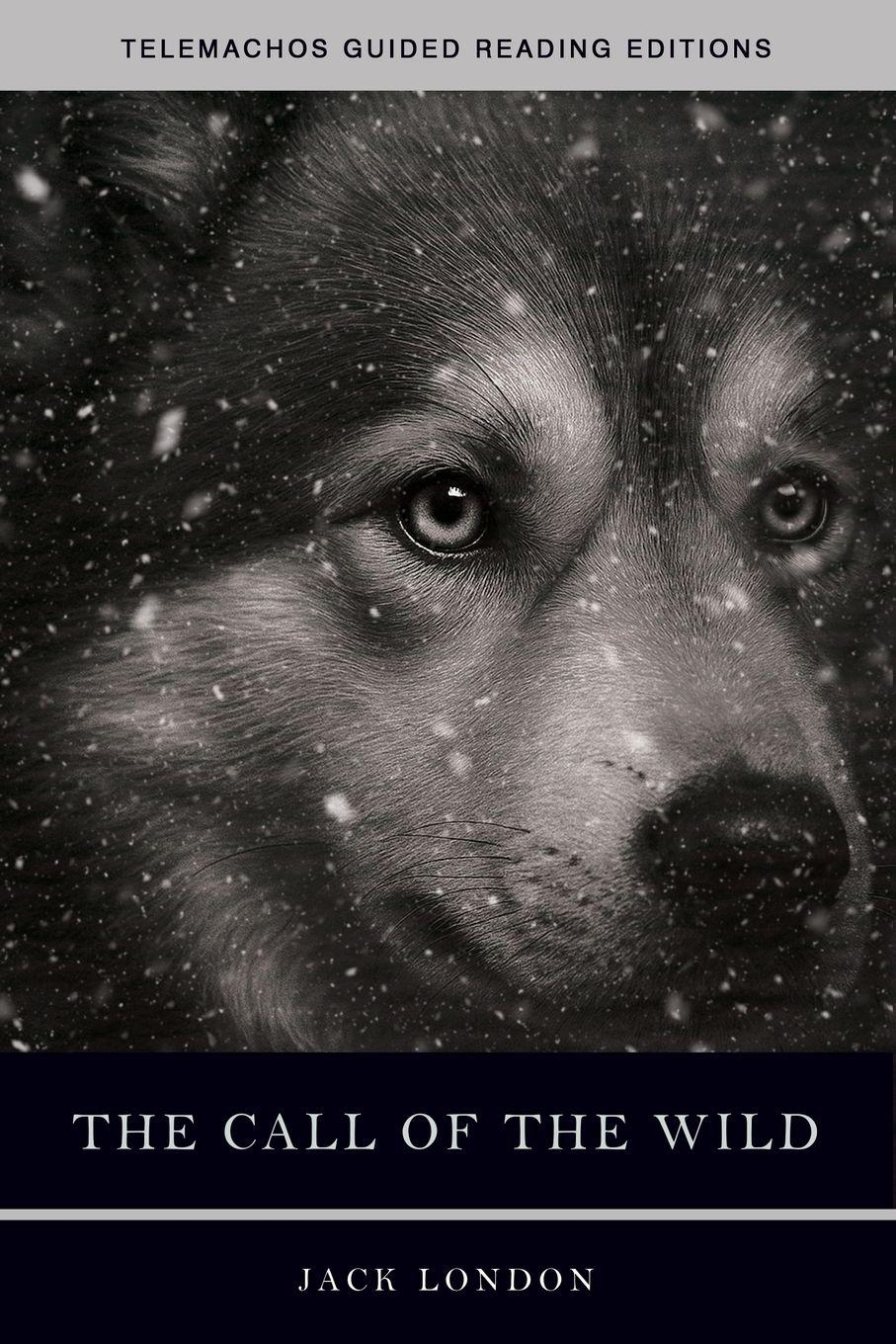 Vorderes Coverbild The Call of the Wild
