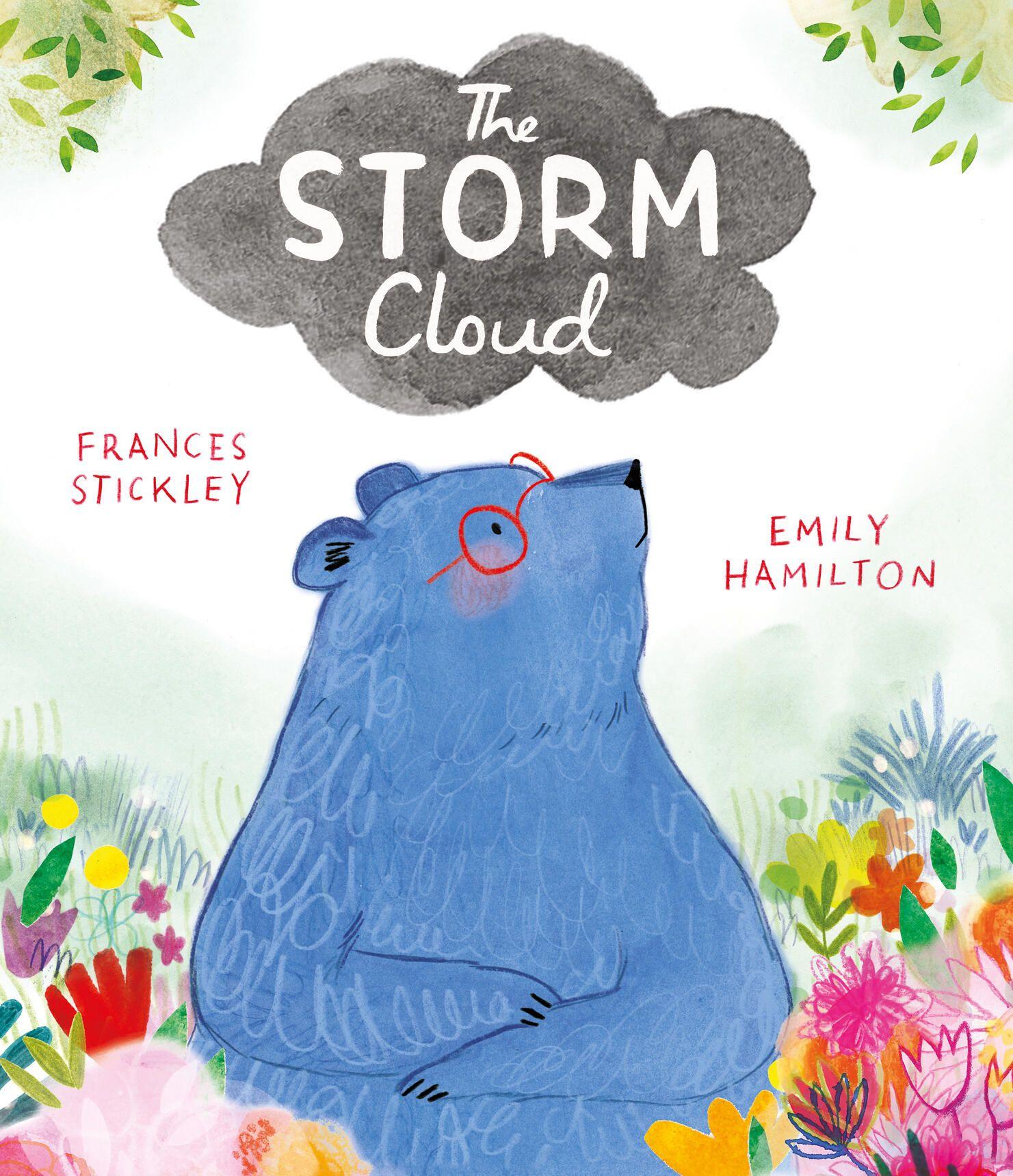 Vorderes Coverbild The Storm Cloud