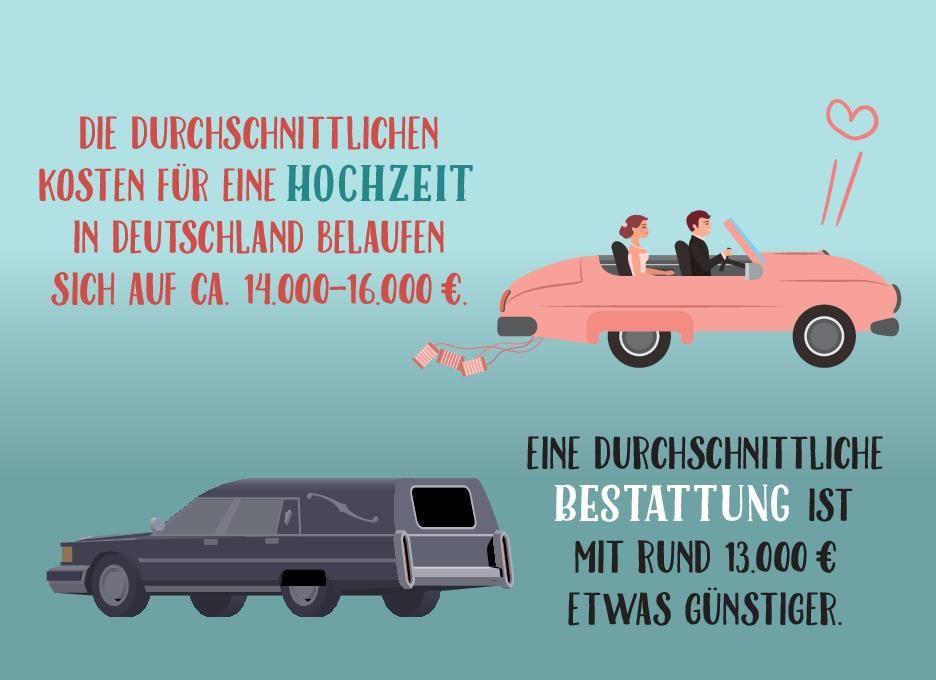 Beispielinhalt (Bild) Wusstest du, dass Moskitos 47 Zähne haben?