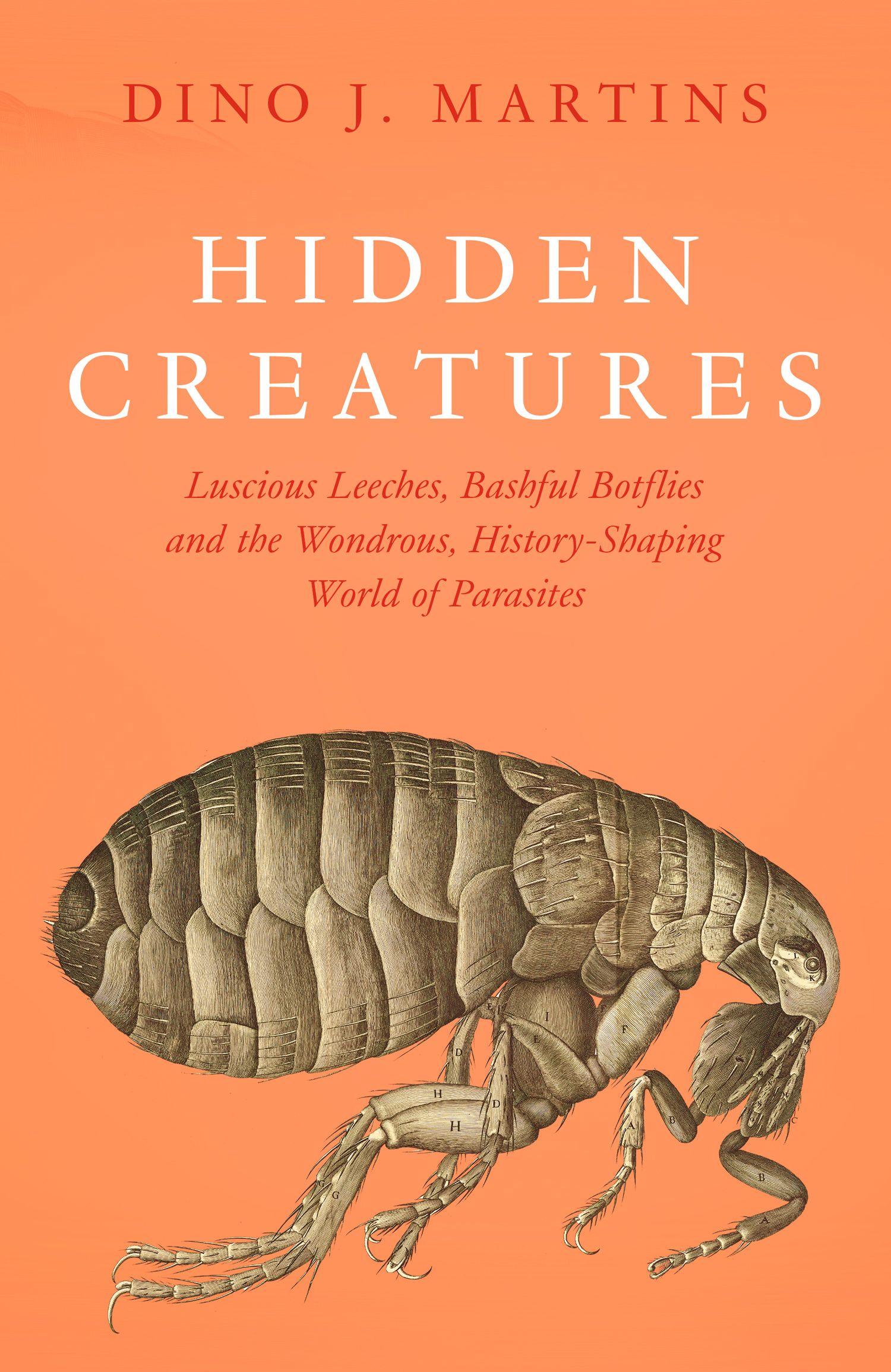 Vorderes Coverbild Hidden Creatures