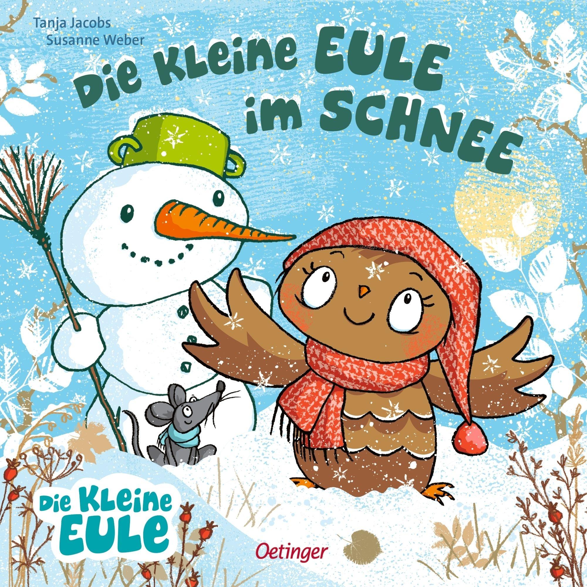 Vorderes Coverbild Die kleine Eule im Schnee