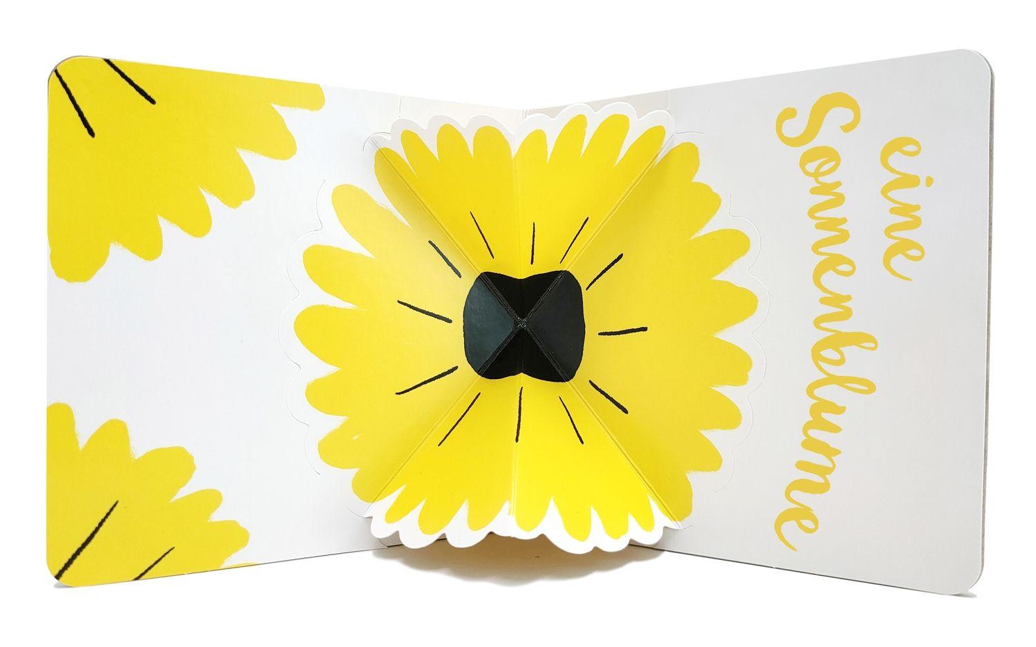 Beispielinhalt (Bild) Gelb Pop-Up