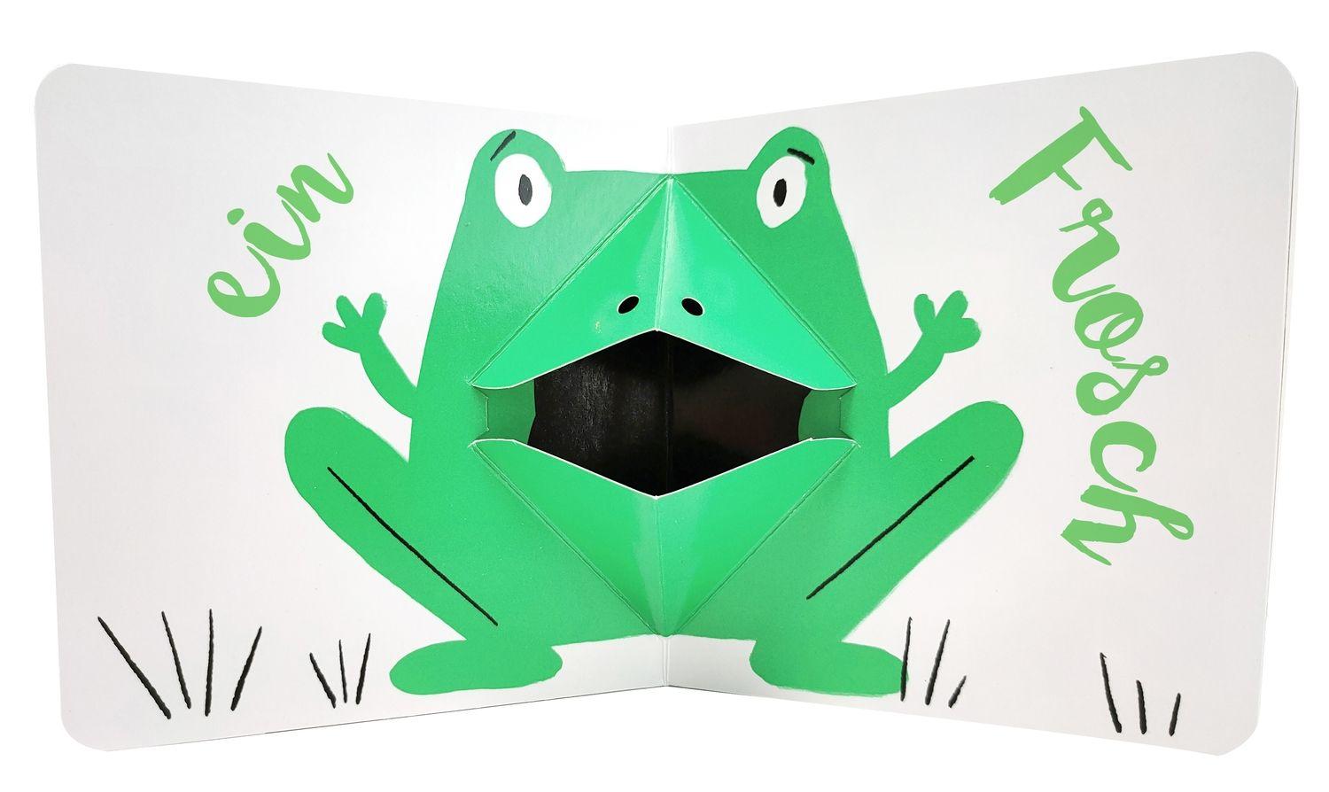 Beispielinhalt (Bild) Grün Pop-Up