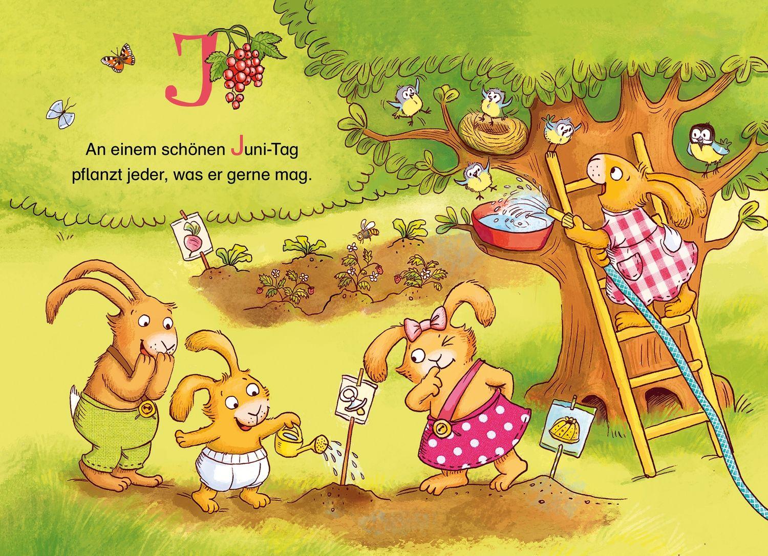 Beispielinhalt (Bild) Wenn sieben kleine Hasen durch das ABC rasen