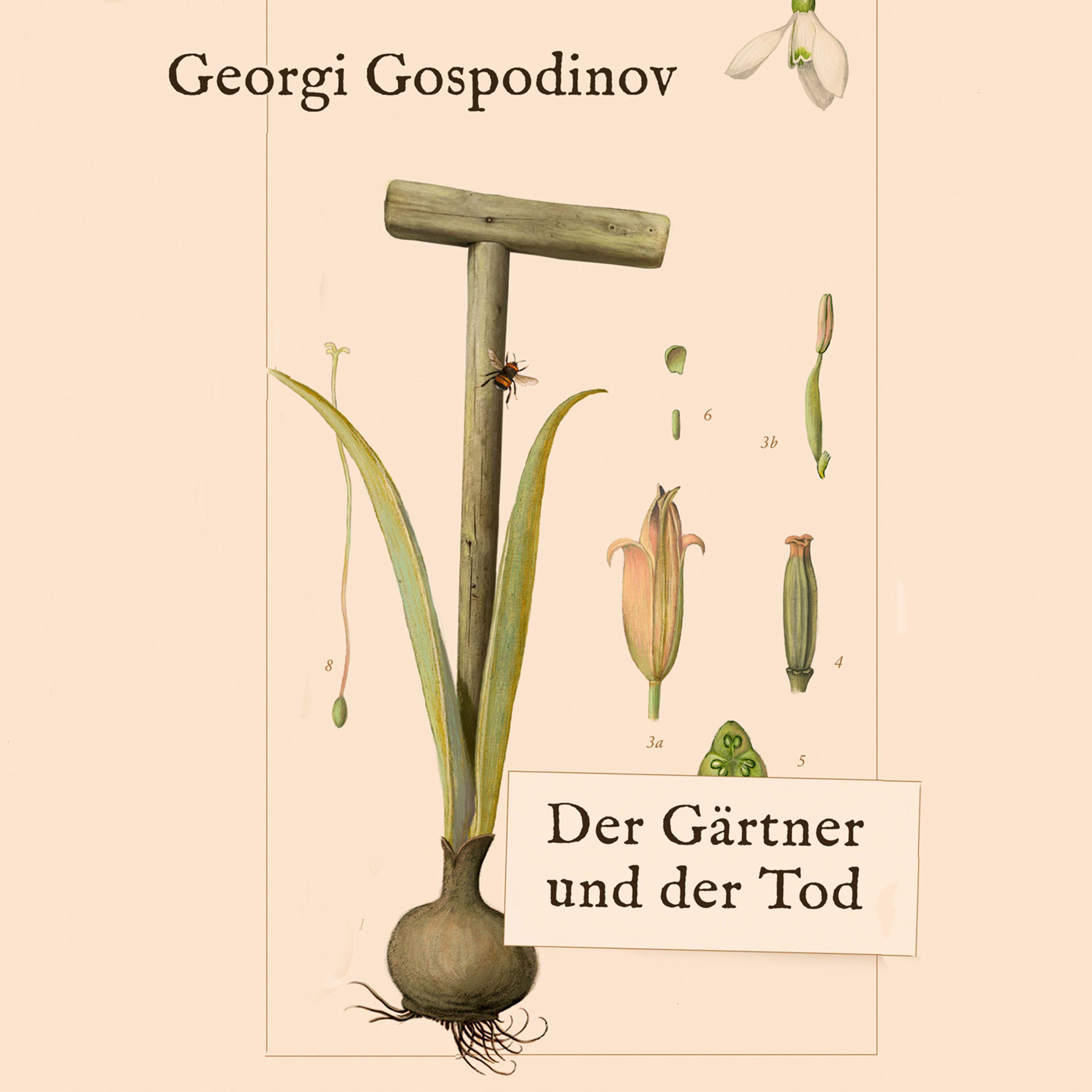 Vorderes Coverbild Der Gärtner und der Tod