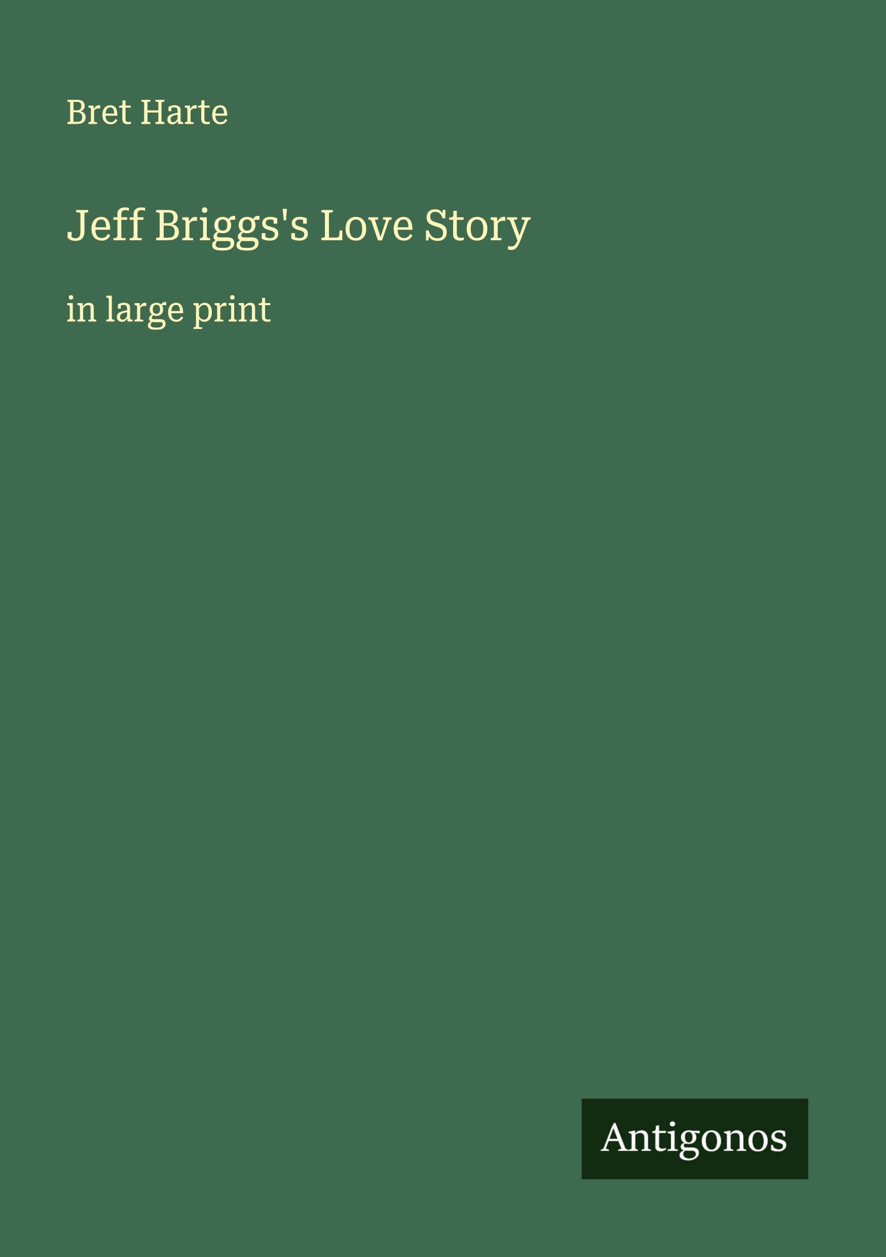 Vorderes Coverbild Jeff Briggs's Love Story