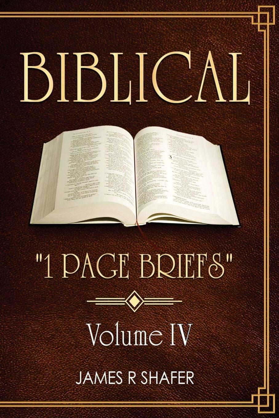 Vorderes Coverbild Biblical "1 Page Briefs"