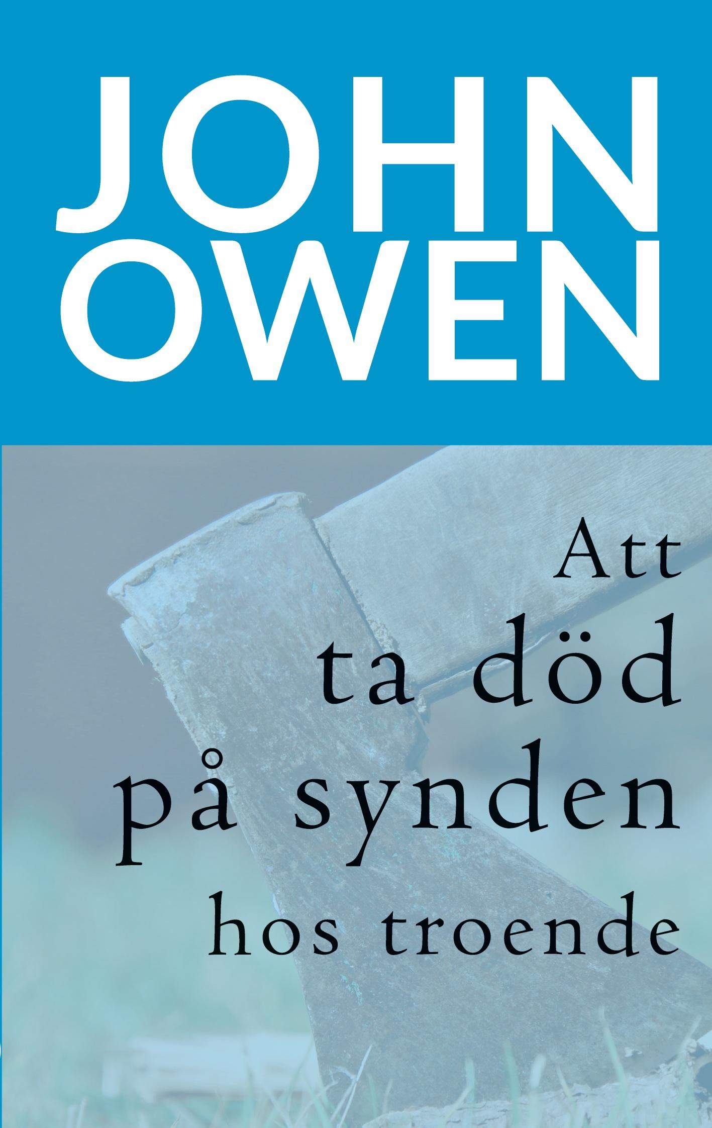 Vorderes Coverbild Att ta död på synden hos troende