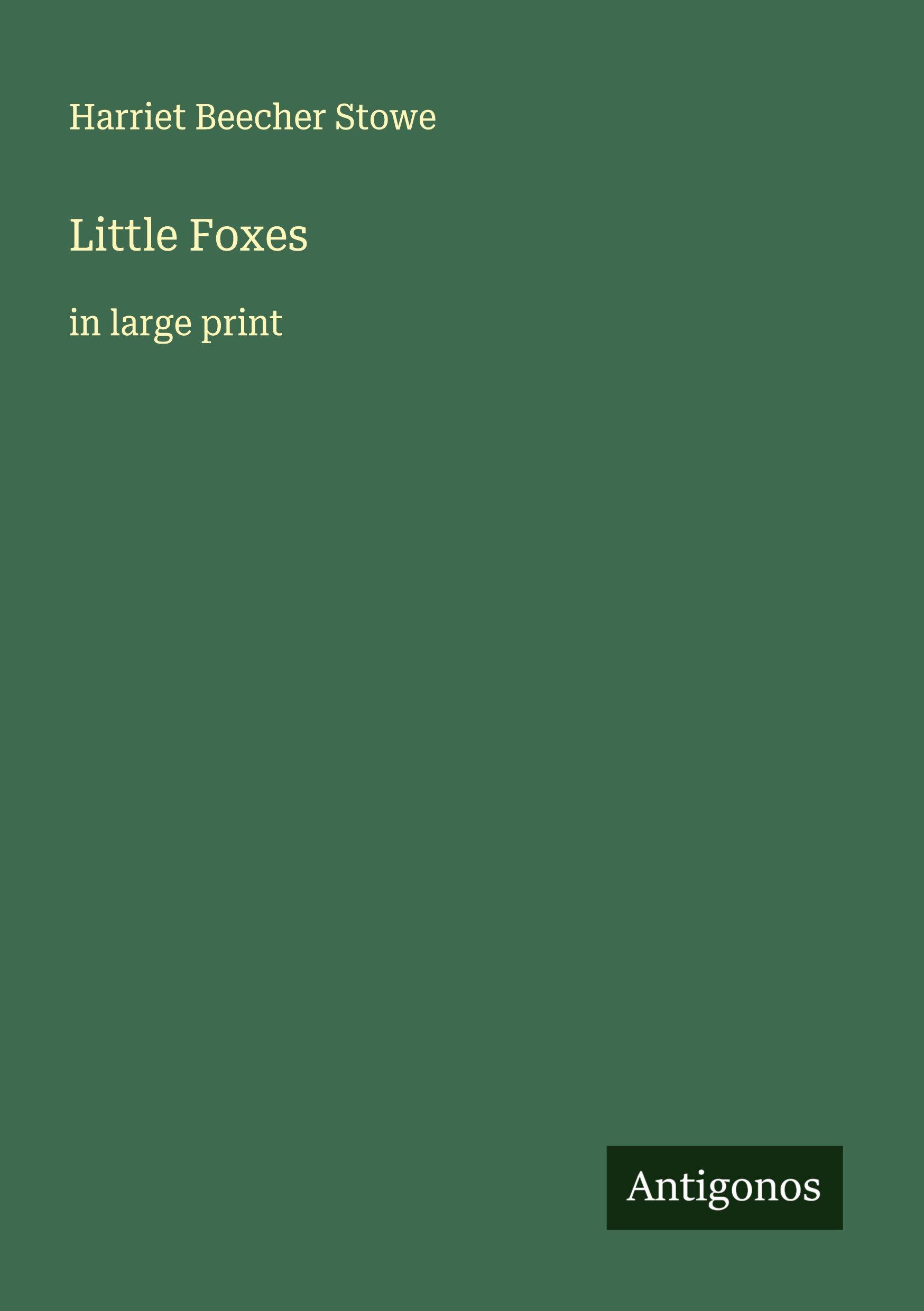 Vorderes Coverbild Little Foxes